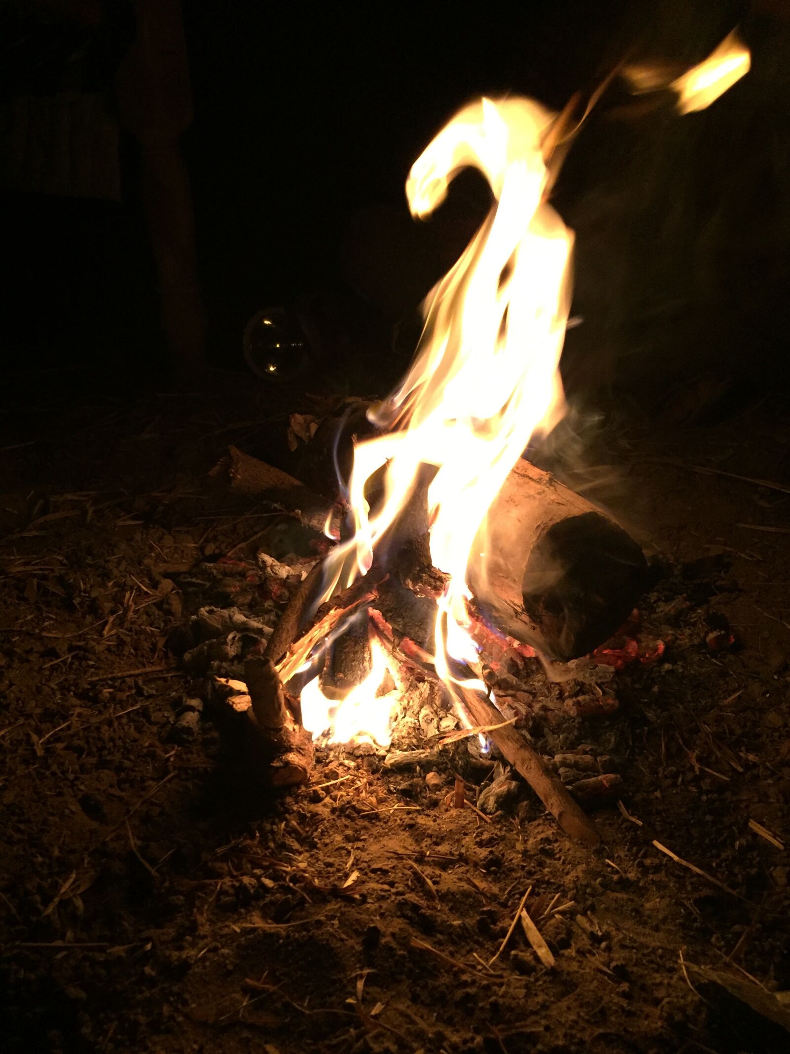 Apple iPhone 6 sample photo. Campfire, camping, farm, fire photography