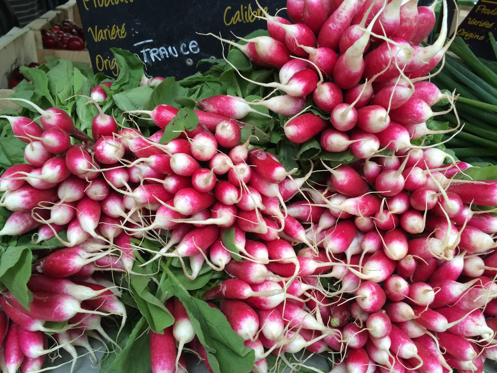 Apple iPhone 5s sample photo. Radishes, red, white photography