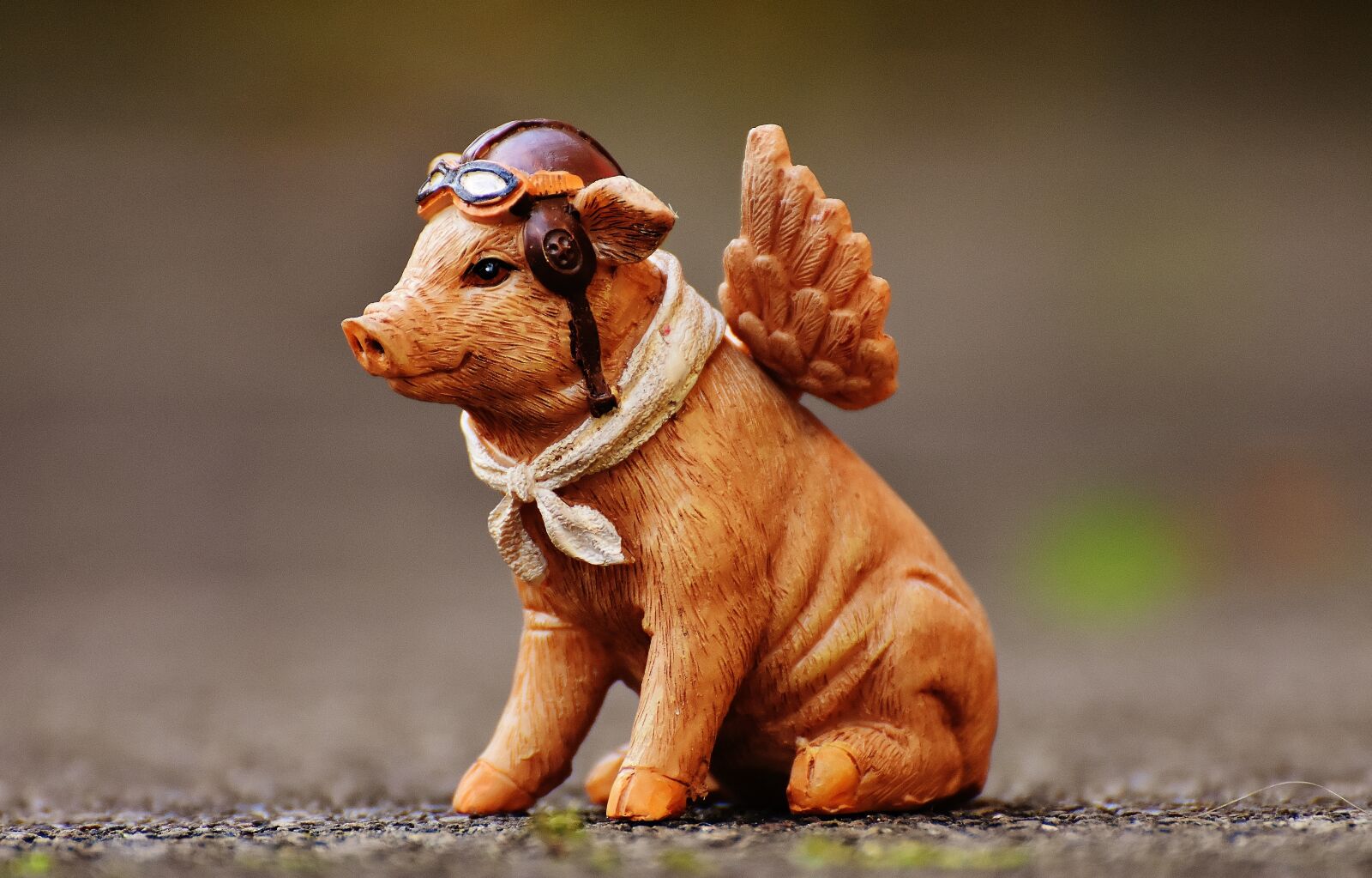 Nikon D7200 sample photo. Lucky pig, guardian angel photography