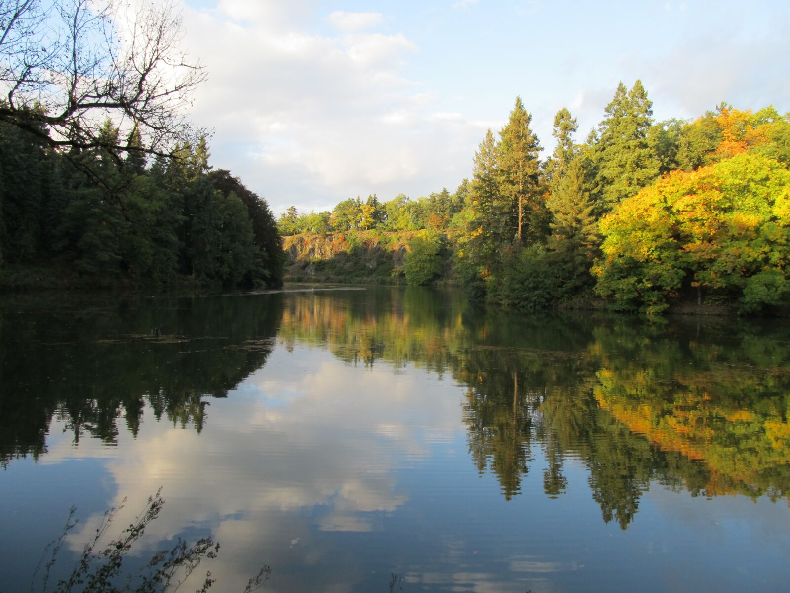 Canon PowerShot SX130 IS sample photo. Trees, water, nature photography