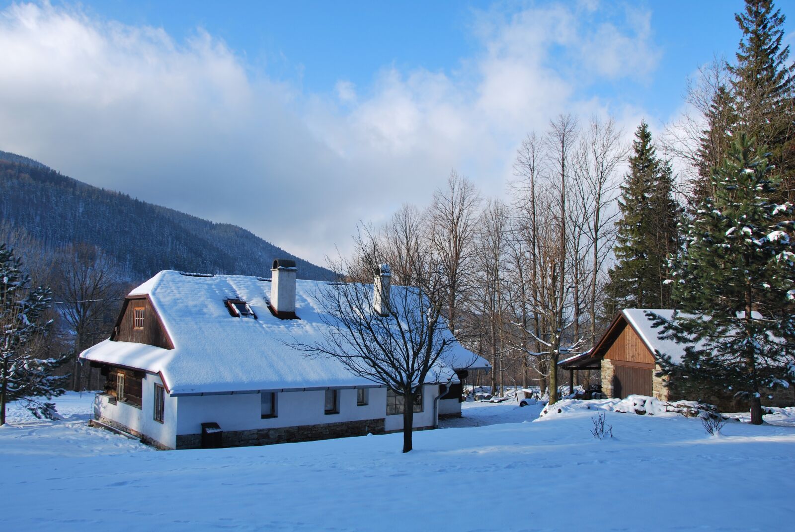 Nikon D60 sample photo. Winter, cottage, snow photography