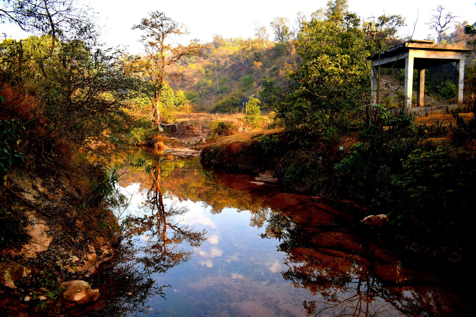 Nikon D3300 sample photo. Water, reflection, nature photography