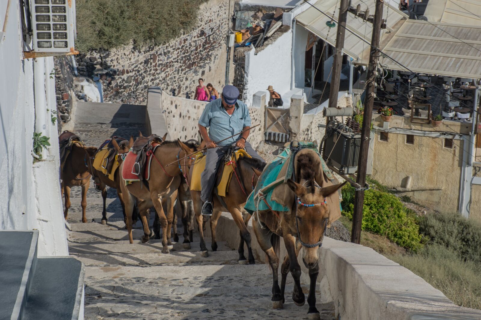 Nikon D7200 sample photo. Horses, tourism, transport photography