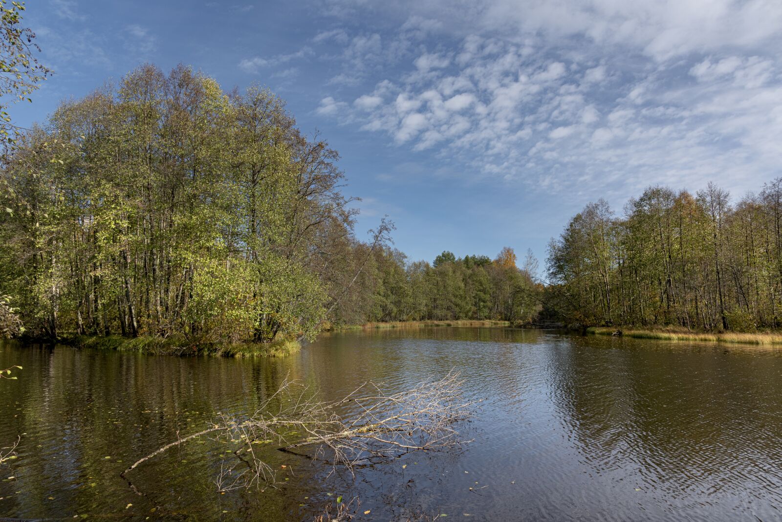 Nikon D750 sample photo. River, forest, landscape photography