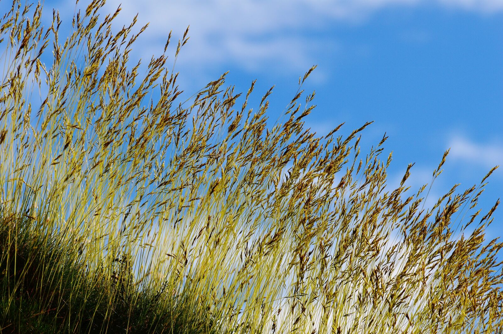 Nikon D3200 sample photo. Sky, blue, clouds photography
