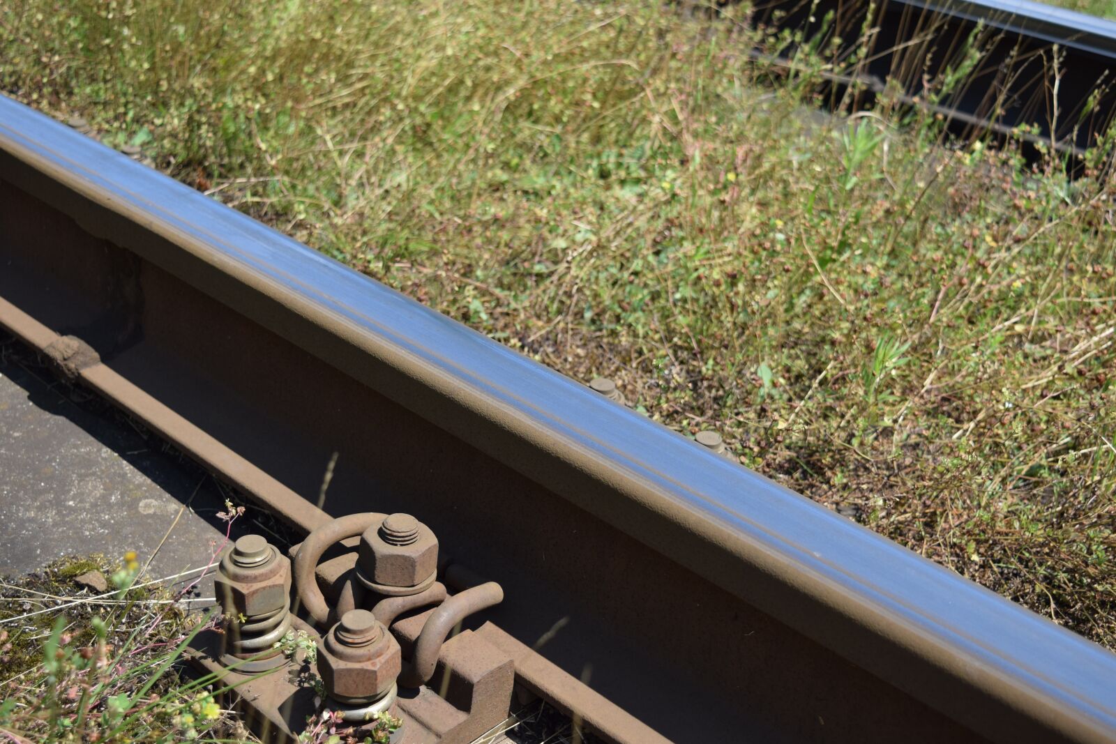 Nikon D3300 sample photo. Track, railroad track, rails photography