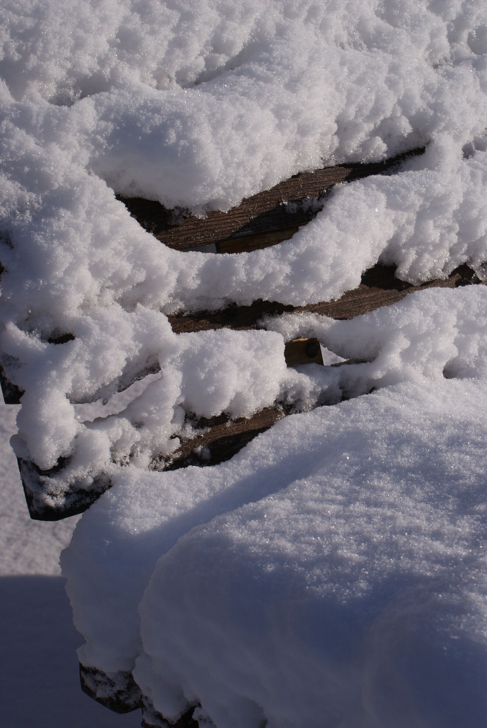 Sony Alpha DSLR-A200 sample photo. Winter, snow, nature photography