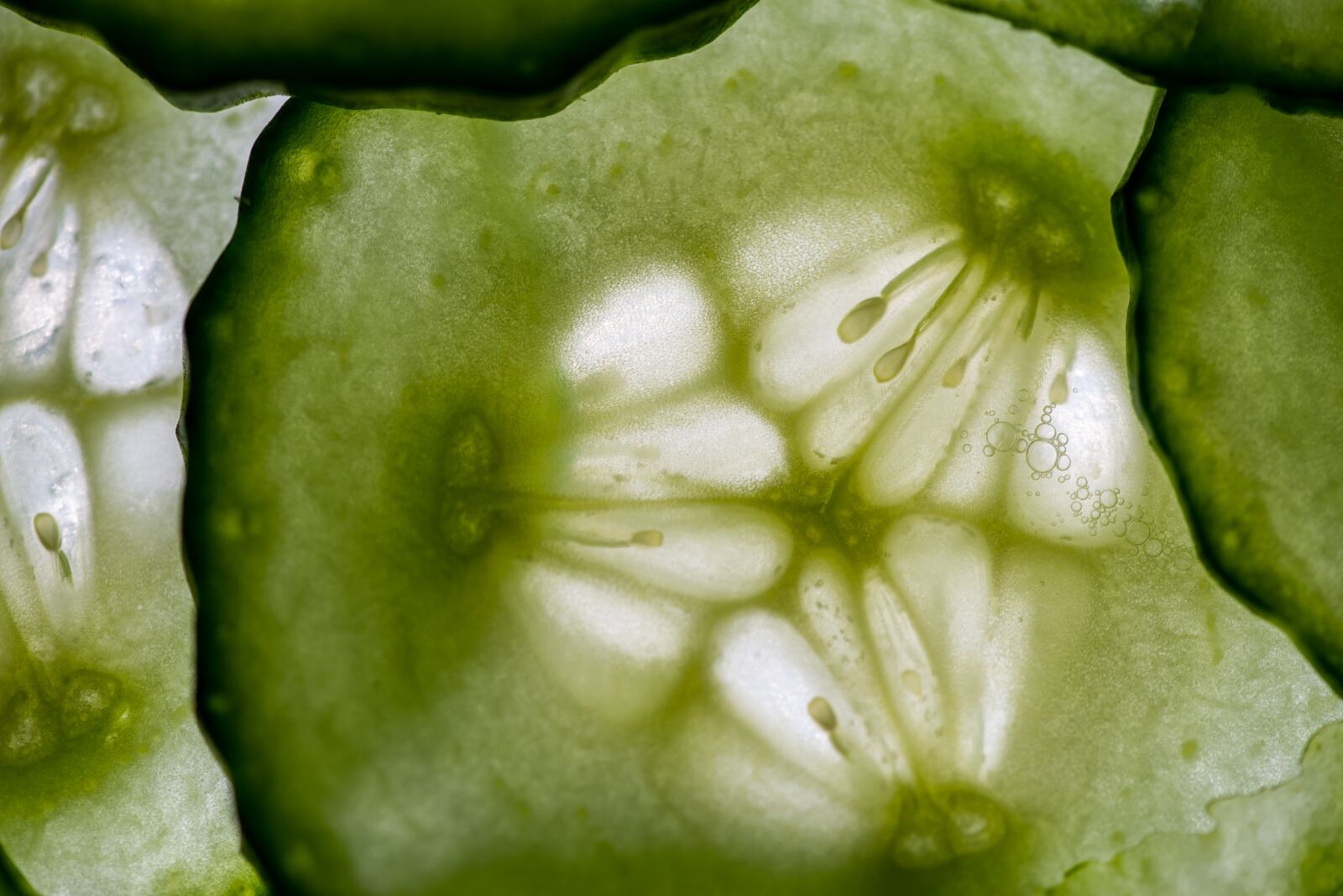 Nikon D610 sample photo. Cucumber slices, cucumber, cucumber photography
