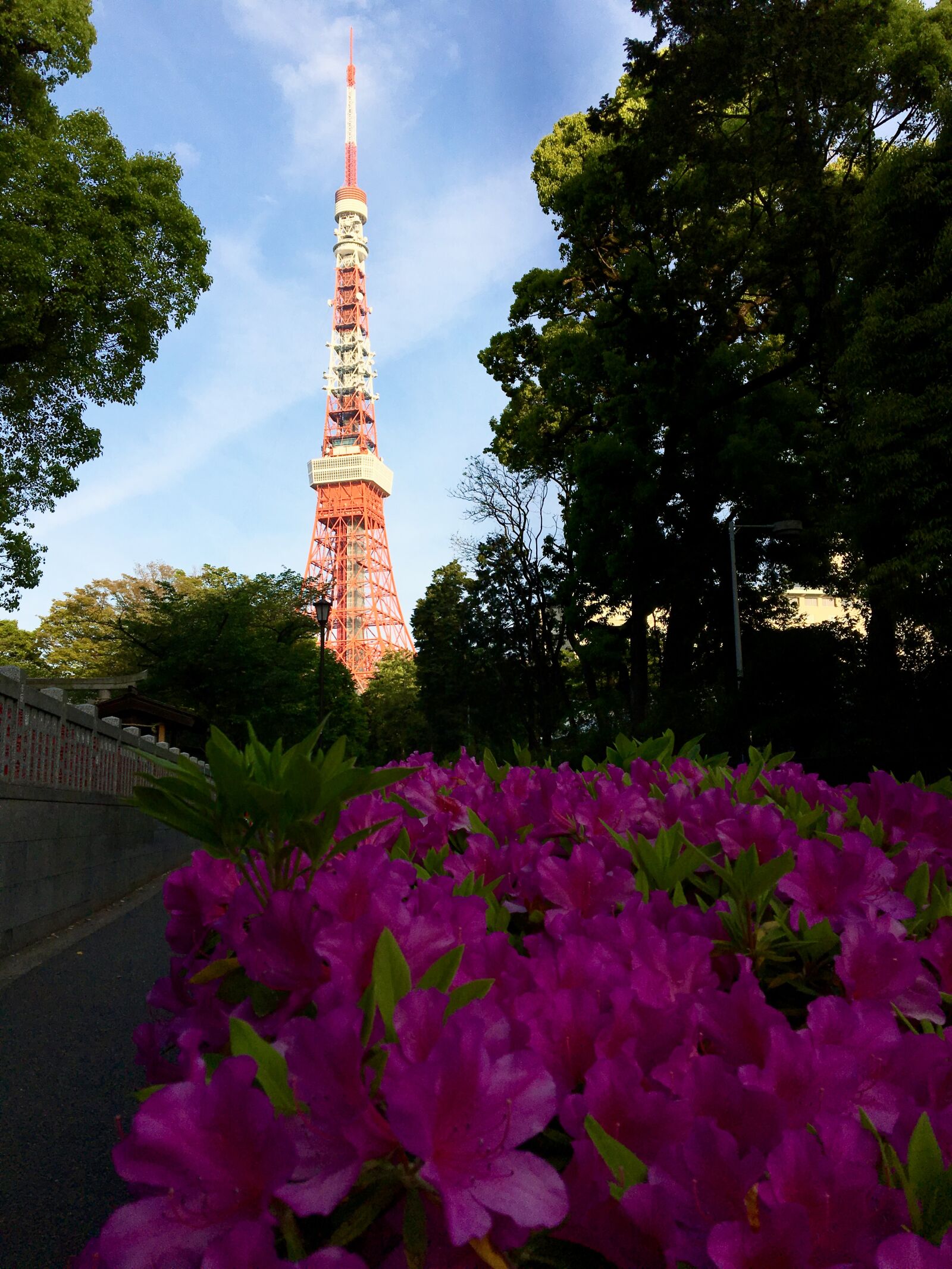 Apple iPhone 6s sample photo. Tokyo, japan, tokyo 2020 photography