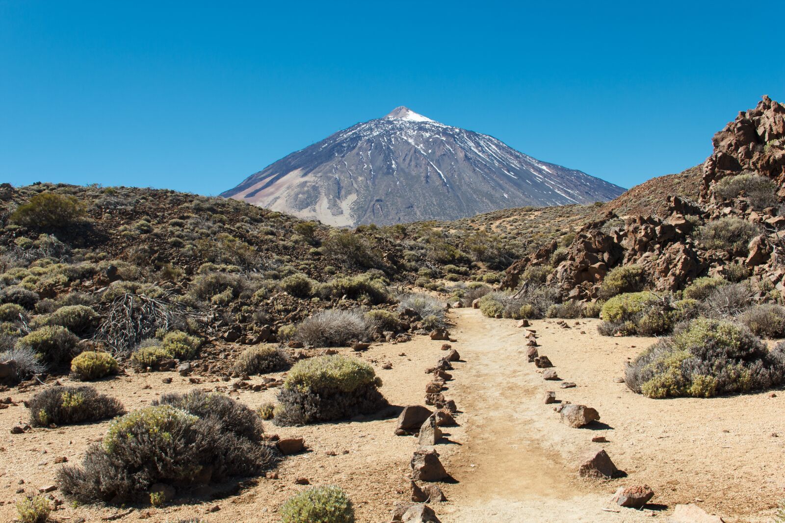 Canon EOS 550D (EOS Rebel T2i / EOS Kiss X4) sample photo. Teide, las canadas, canadas photography