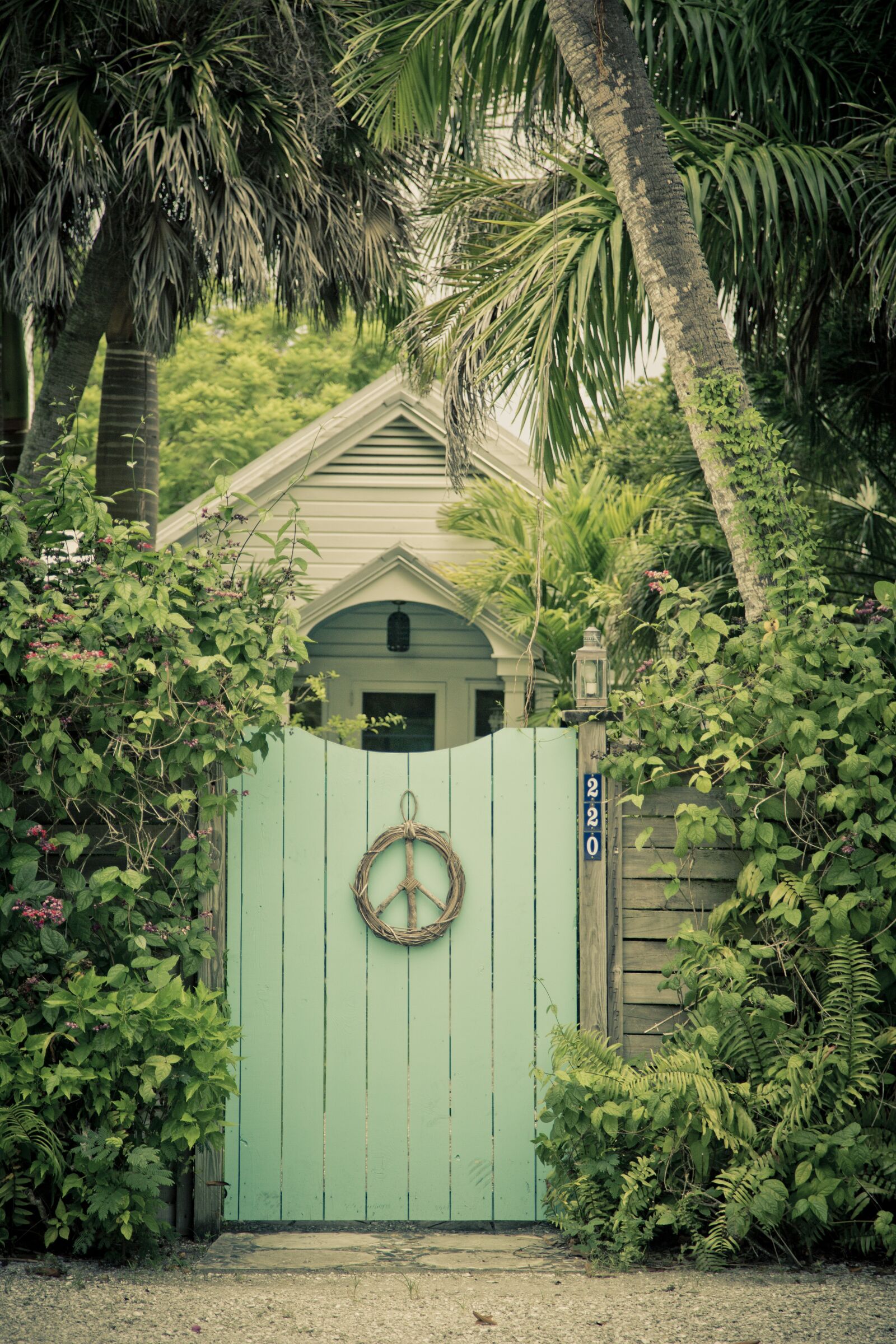 Canon EF 24-105mm F4L IS USM sample photo. Peace, tropical, t photography