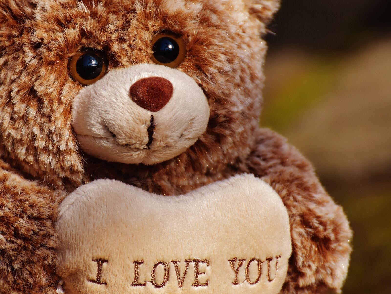 Nikon D7200 sample photo. Teddy, love, teddy bear photography
