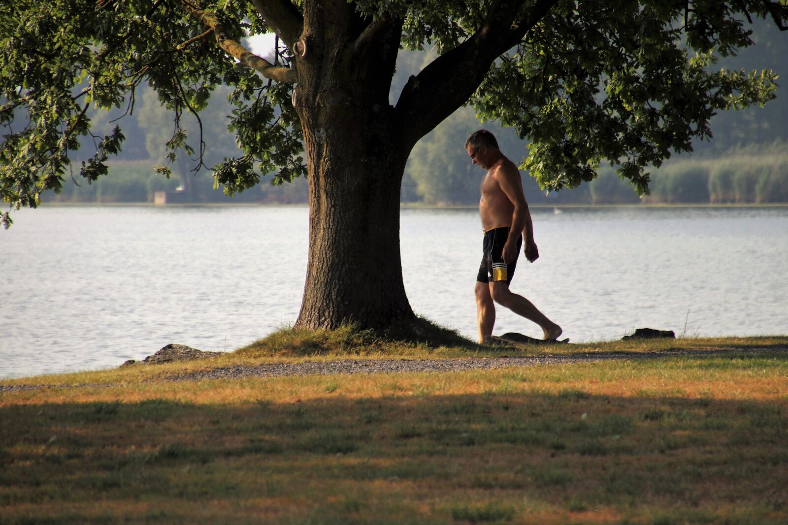 Canon EOS 80D sample photo. Summer, lake, view photography