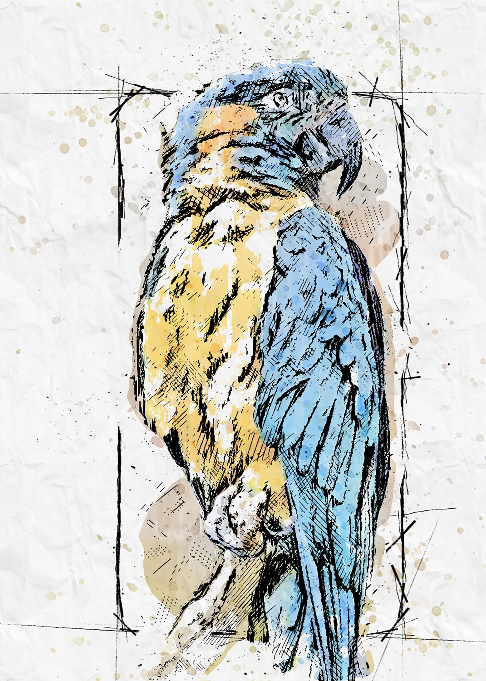 Nikon D7000 sample photo. Parrot, animal, bird photography