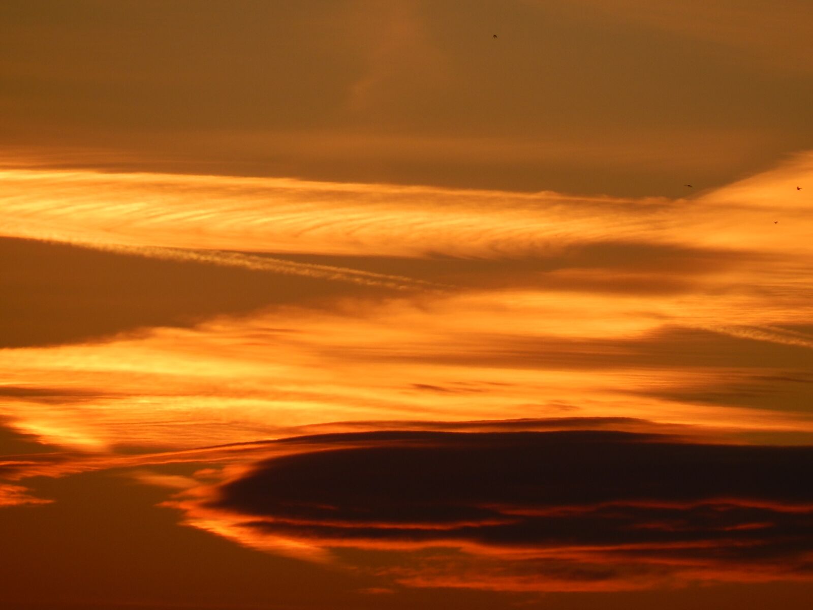 Nikon Coolpix L830 sample photo. Morgenrot, sky, clouds photography