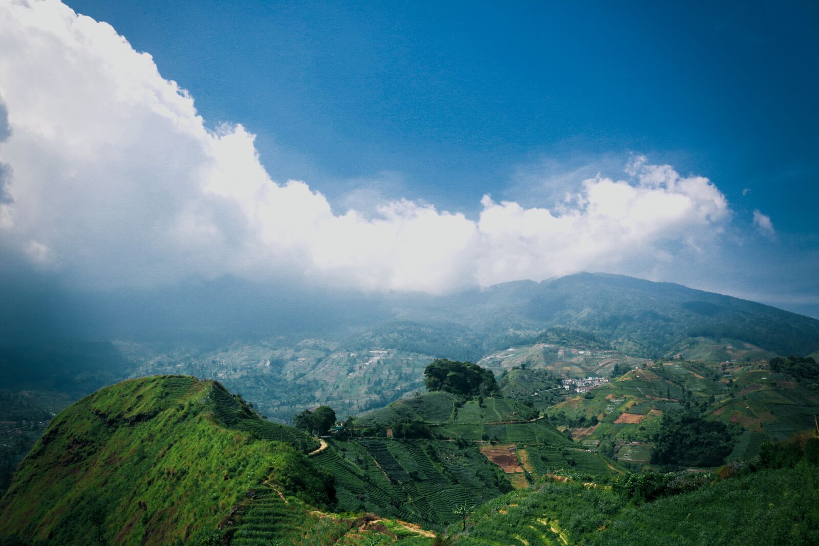 Canon EOS 750D (EOS Rebel T6i / EOS Kiss X8i) sample photo. Landscape, nature, rice fields photography