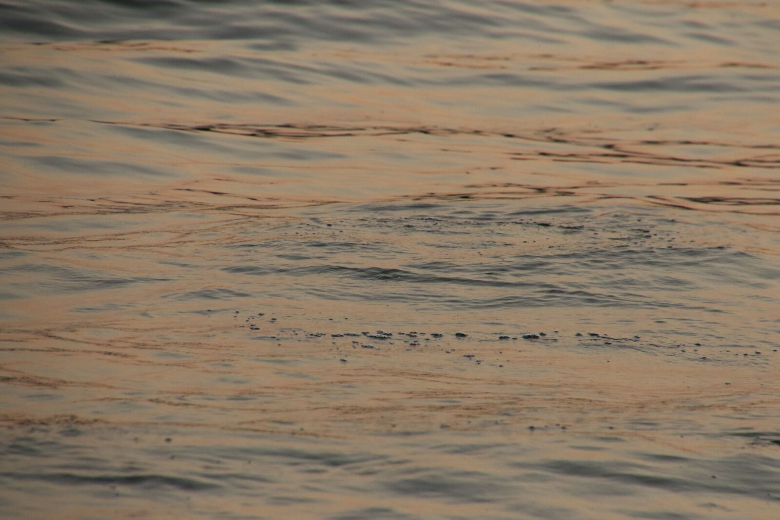 Canon EOS 7D Mark II sample photo. Background, bubbles, nature, reflection photography