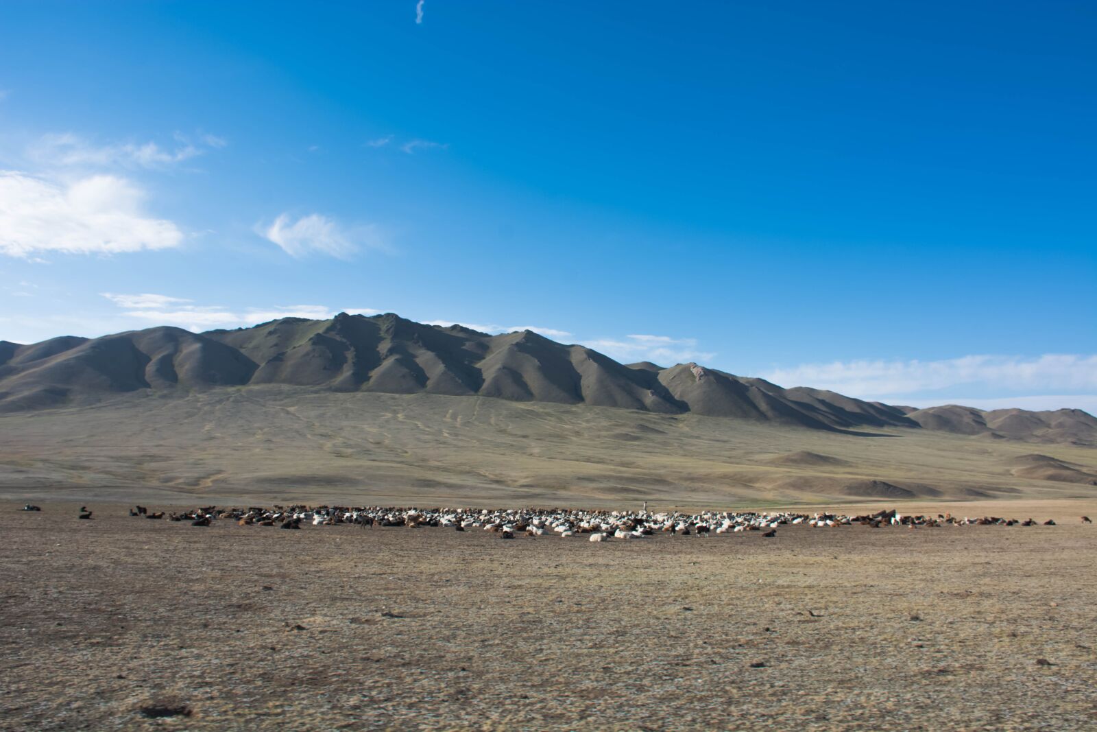 Nikon D7100 sample photo. Mongolia, countryside, farmer photography