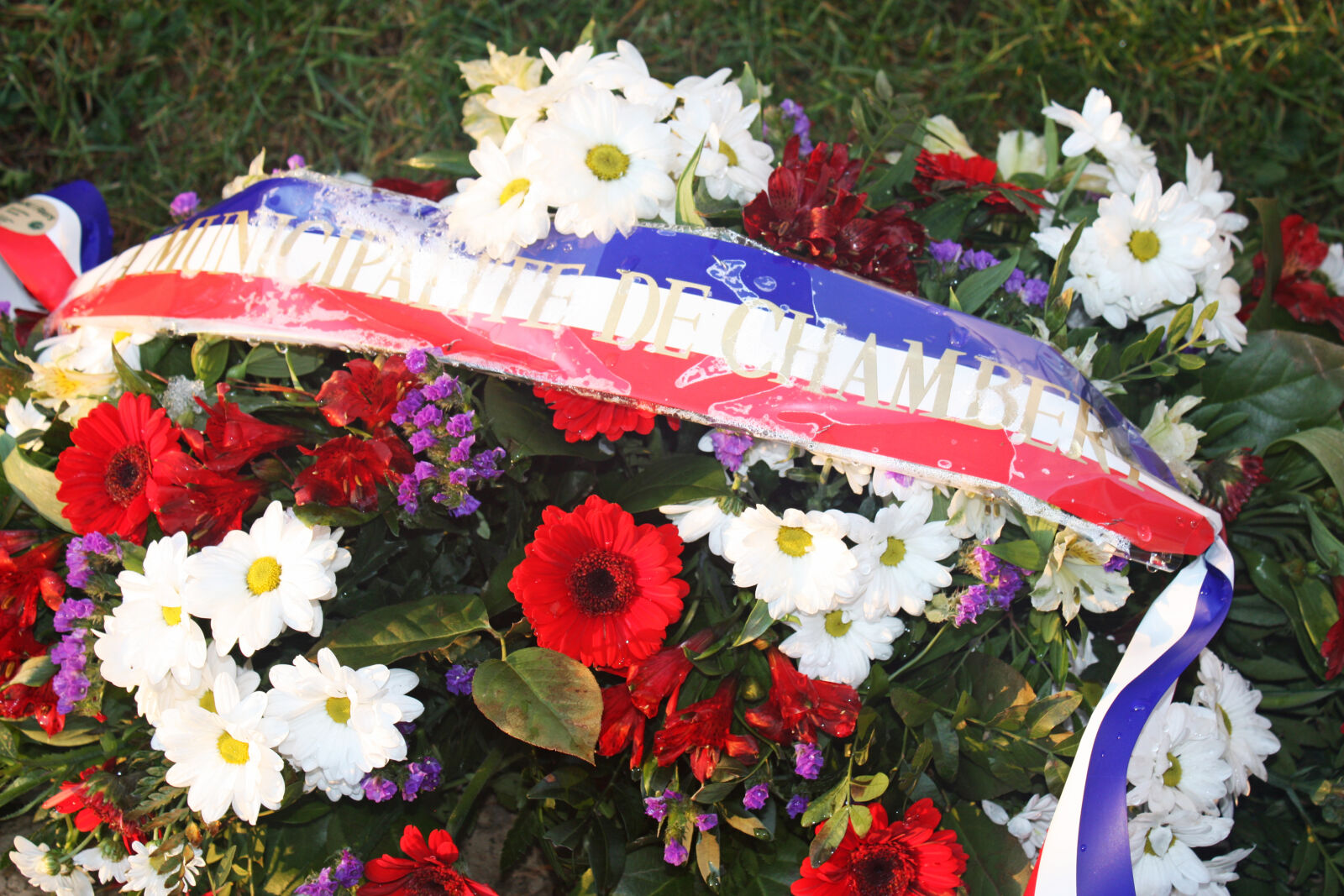 Canon EOS 450D (EOS Rebel XSi / EOS Kiss X2) sample photo. Chambery, colorful, flag, flowers photography