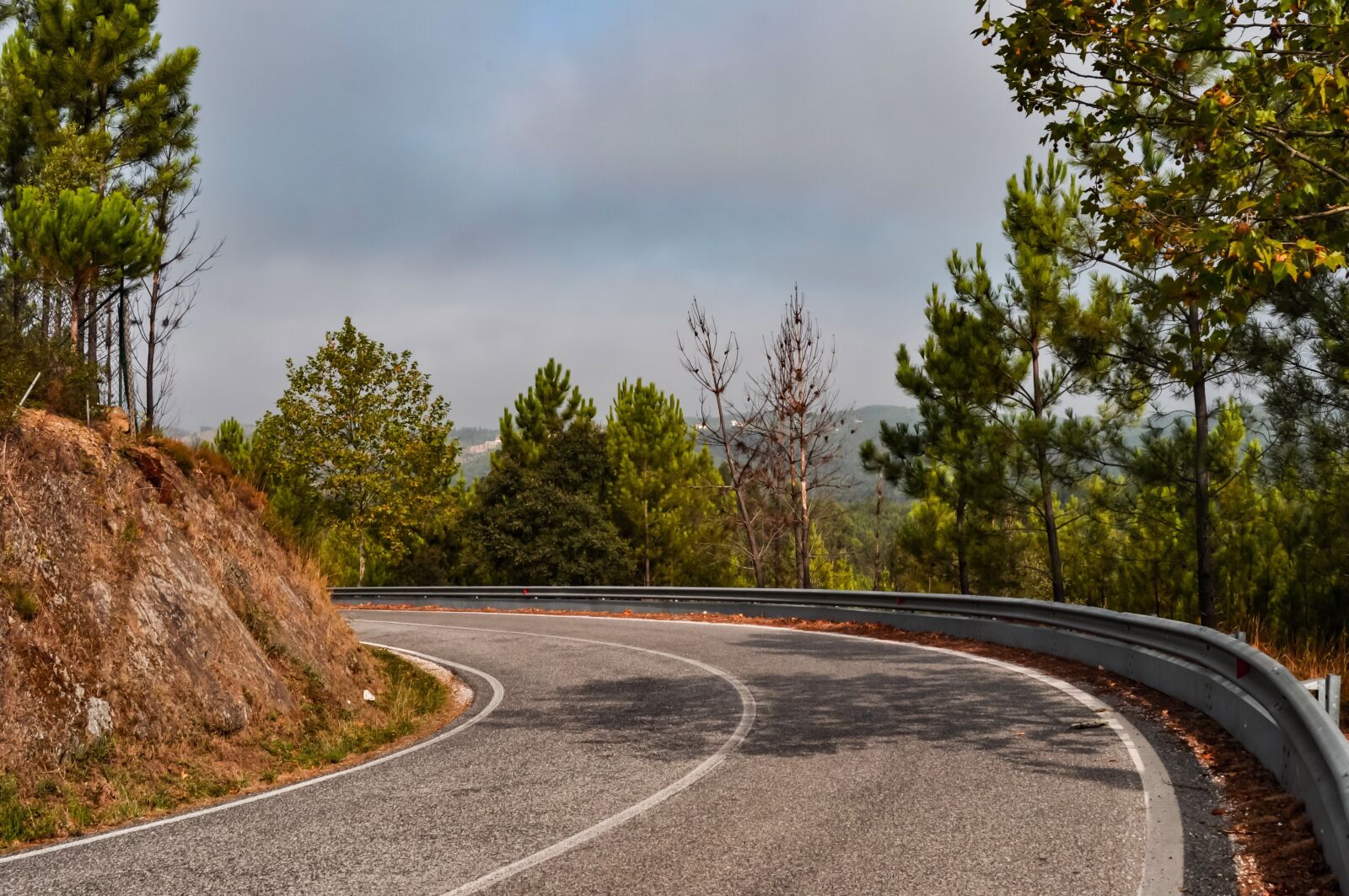Nikon D90 sample photo. Road, corner, trees photography
