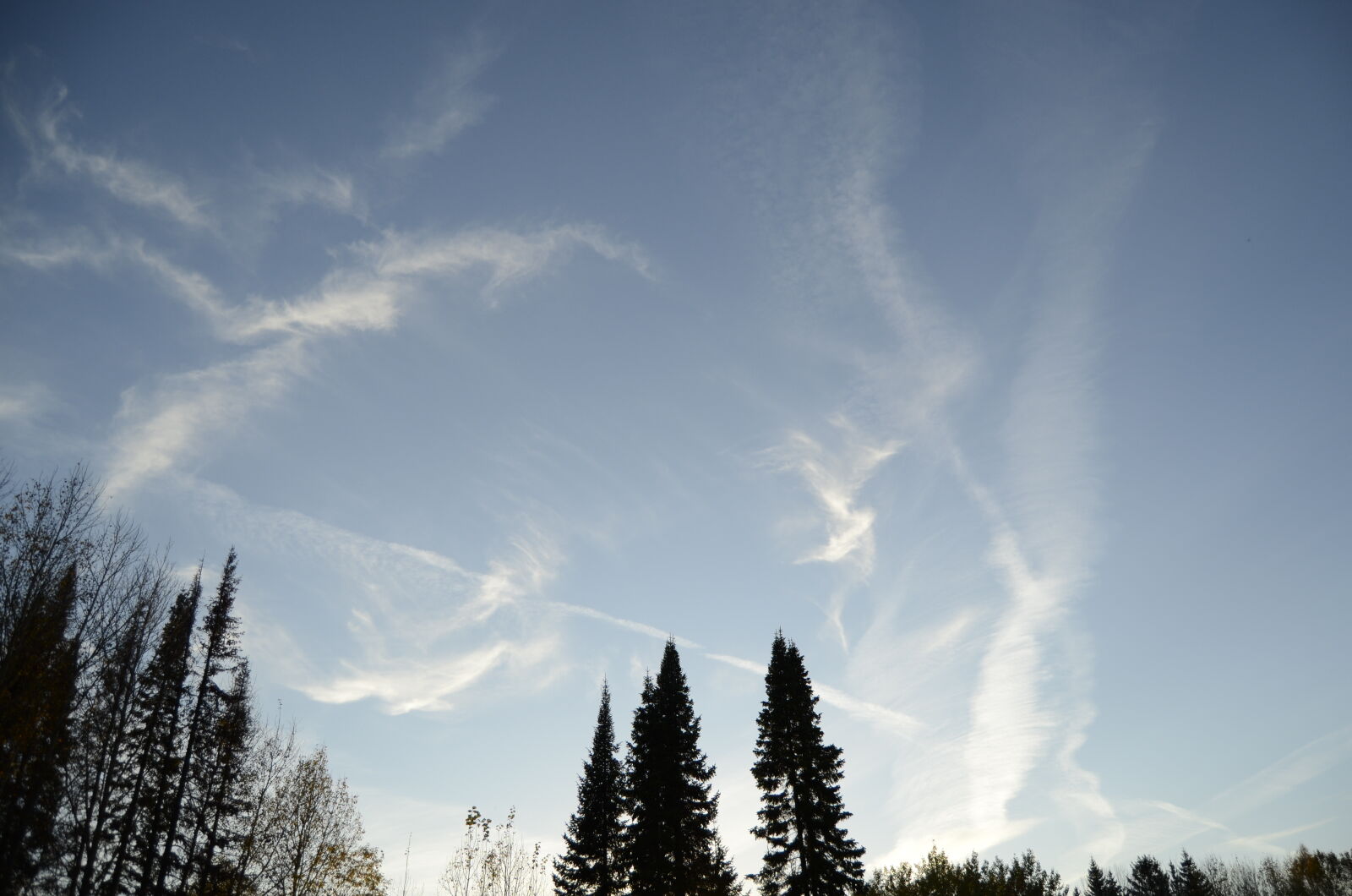 Nikon D5100 sample photo