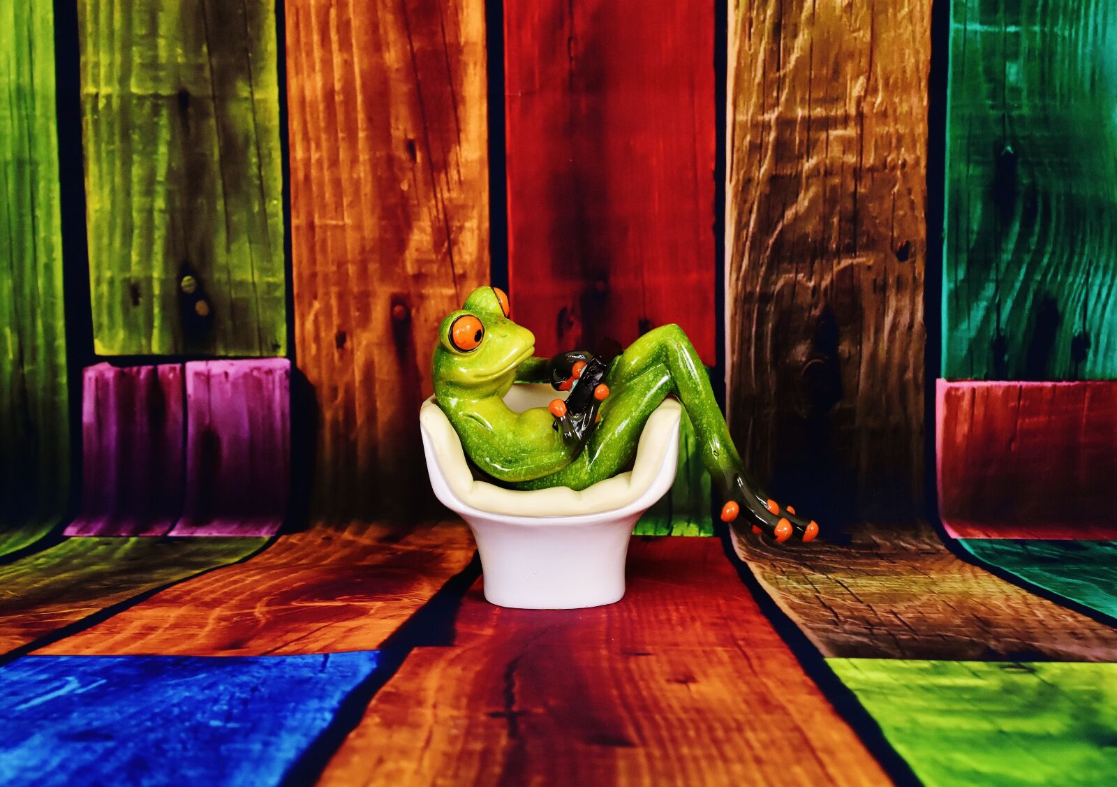 Nikon D7200 sample photo. Frog, chair, tablet photography