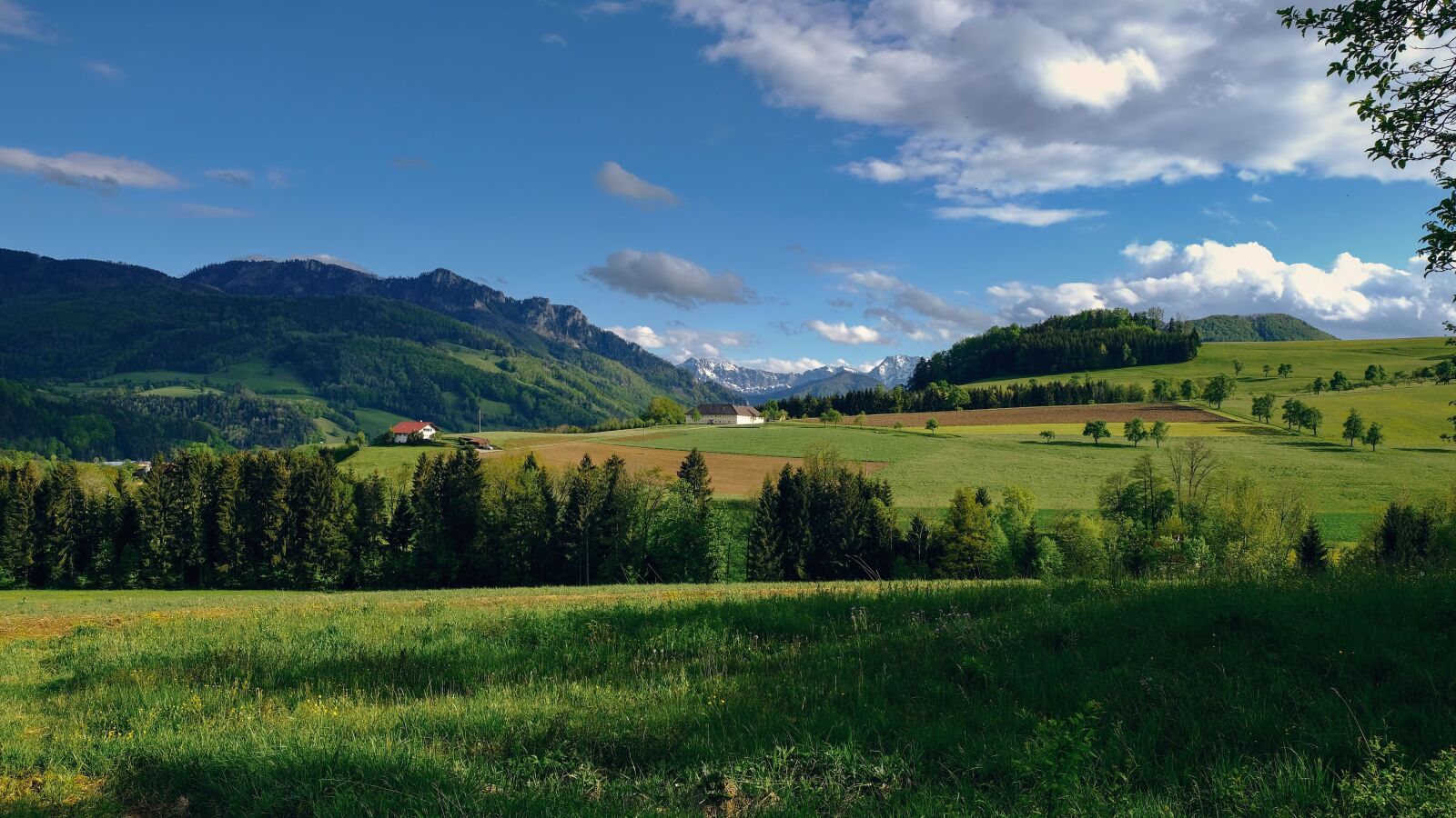 Fujifilm X-T20 sample photo. Nature, landscape, fields photography