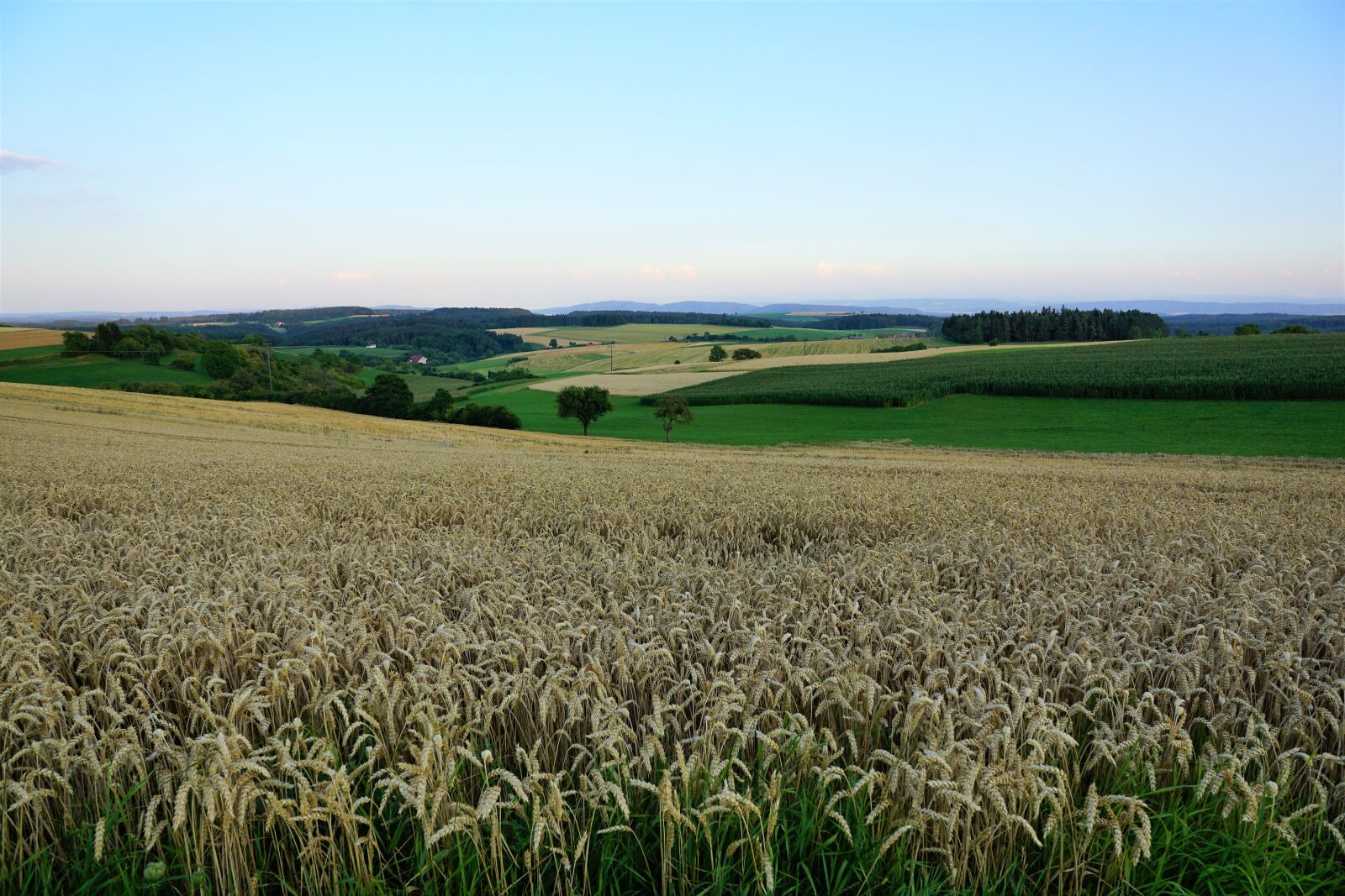 Sony ILCA-77M2 + Sony DT 16-50mm F2.8 SSM sample photo. Grain, field, bread photography