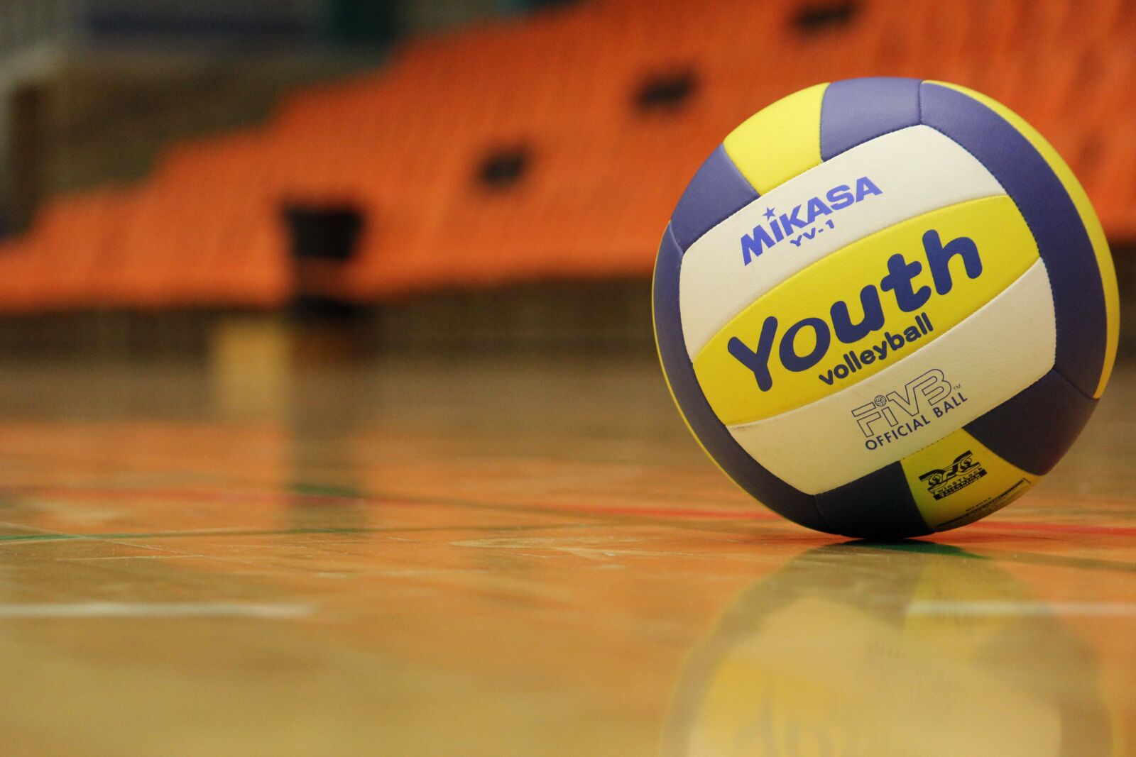 Canon EOS 600D (Rebel EOS T3i / EOS Kiss X5) sample photo. Ball, volleyball, training photography