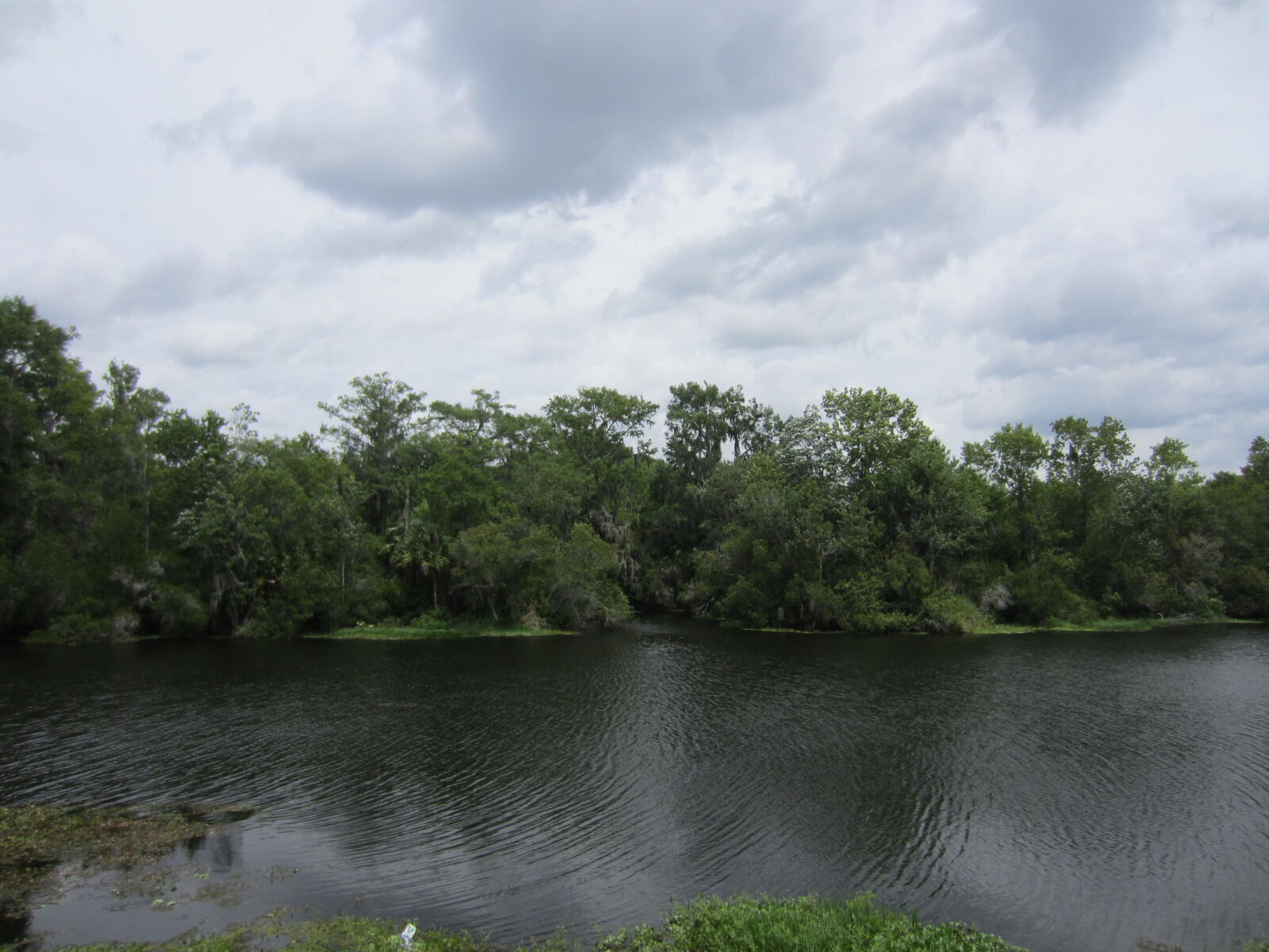 Canon PowerShot ELPH 300 HS (IXUS 220 HS / IXY 410F) sample photo. Albero, aqua, blu, blue photography