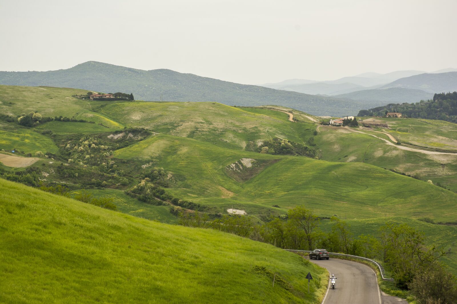 Nikon D7100 sample photo. Nature, landscape, grass photography