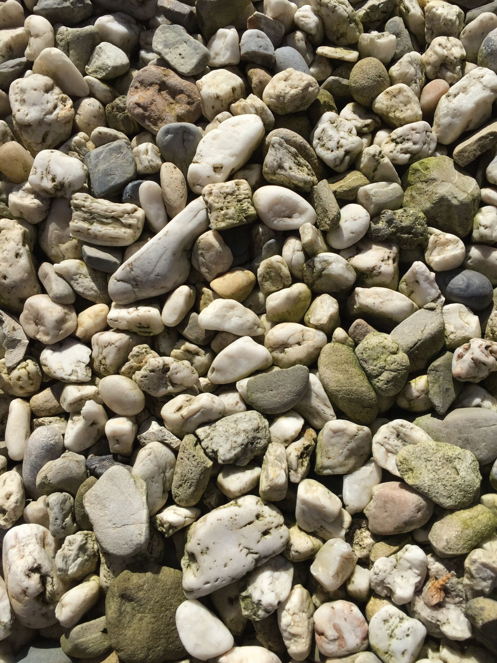iPhone 6 Plus back camera 4.15mm f/2.2 sample photo. Pebble, stones, pebbles photography