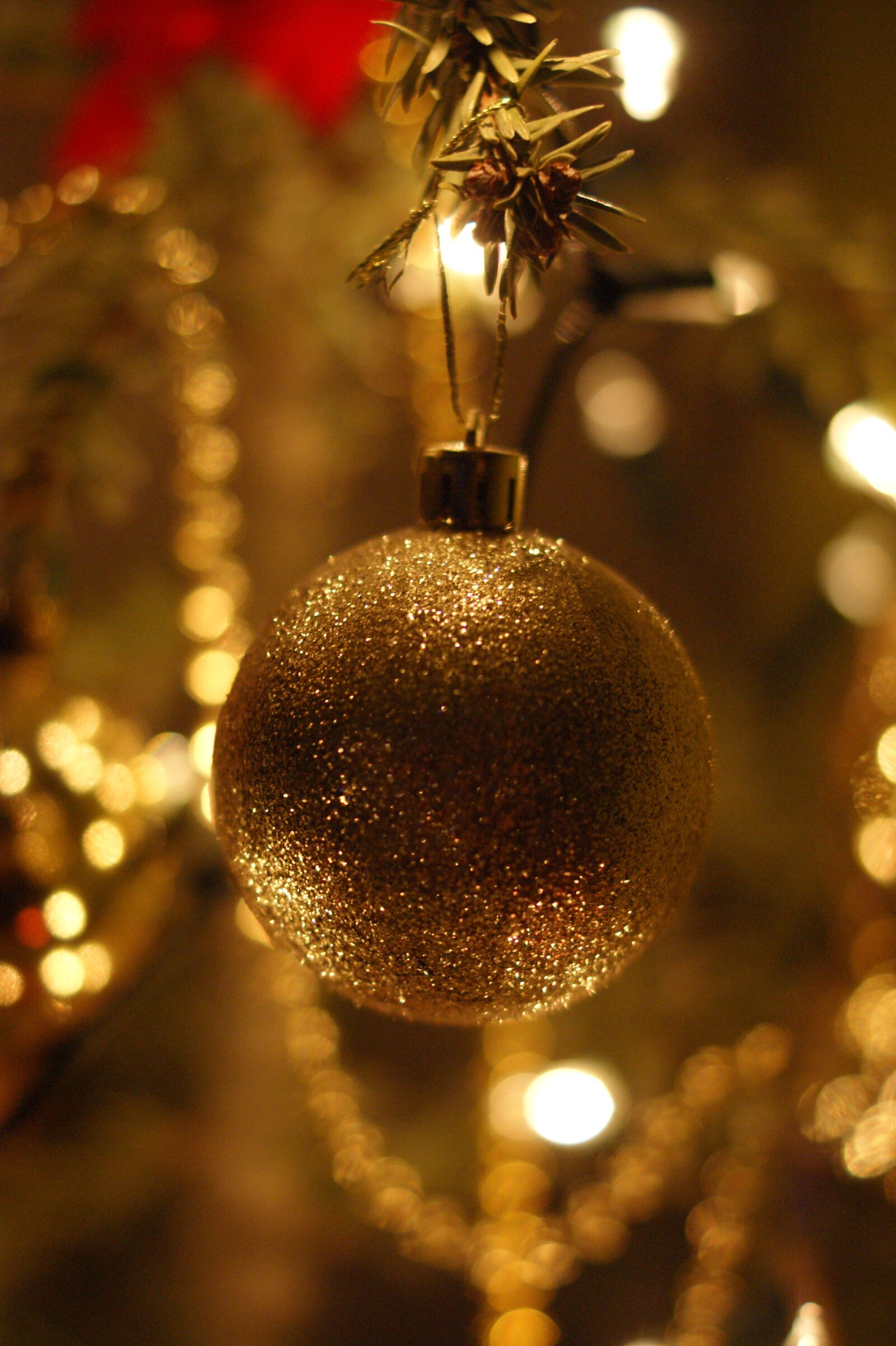 Sony Alpha DSLR-A390 sample photo. Christmas tree, bauble, holidays photography