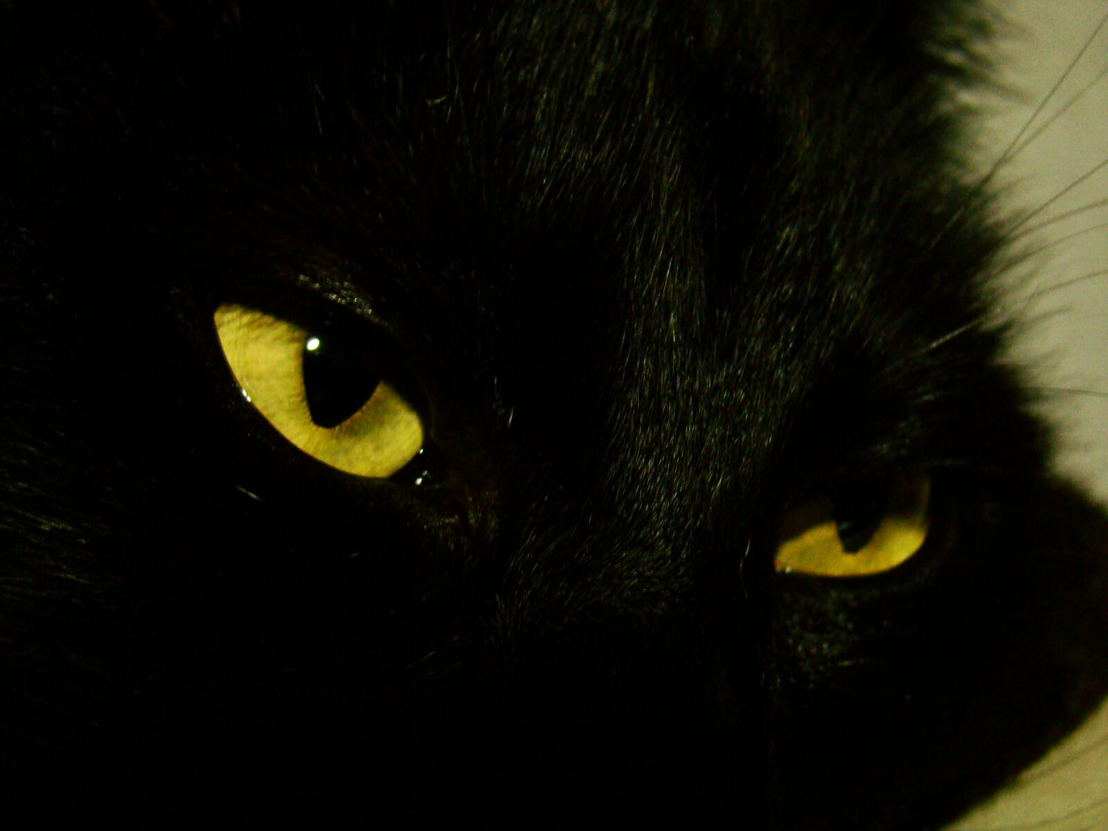 Sony DSC-H9 sample photo