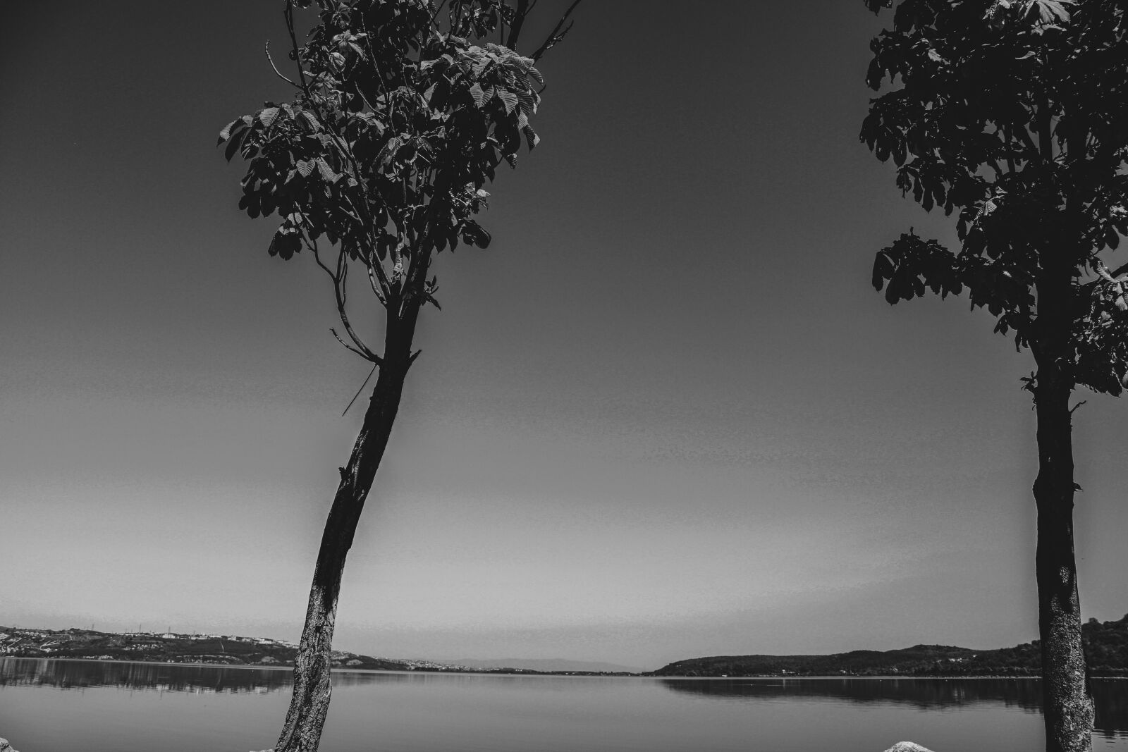 Canon EOS 2000D (EOS Rebel T7 / EOS Kiss X90 / EOS 1500D) sample photo. Trees, lake, landscape photography