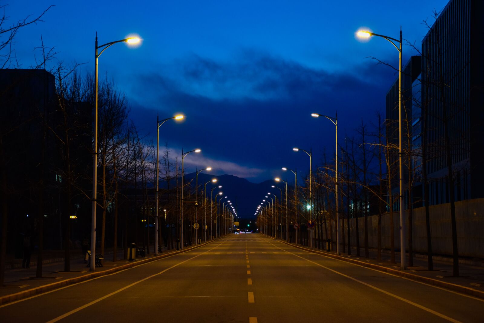 Nikon D5600 sample photo. Be quiet, distance, road photography