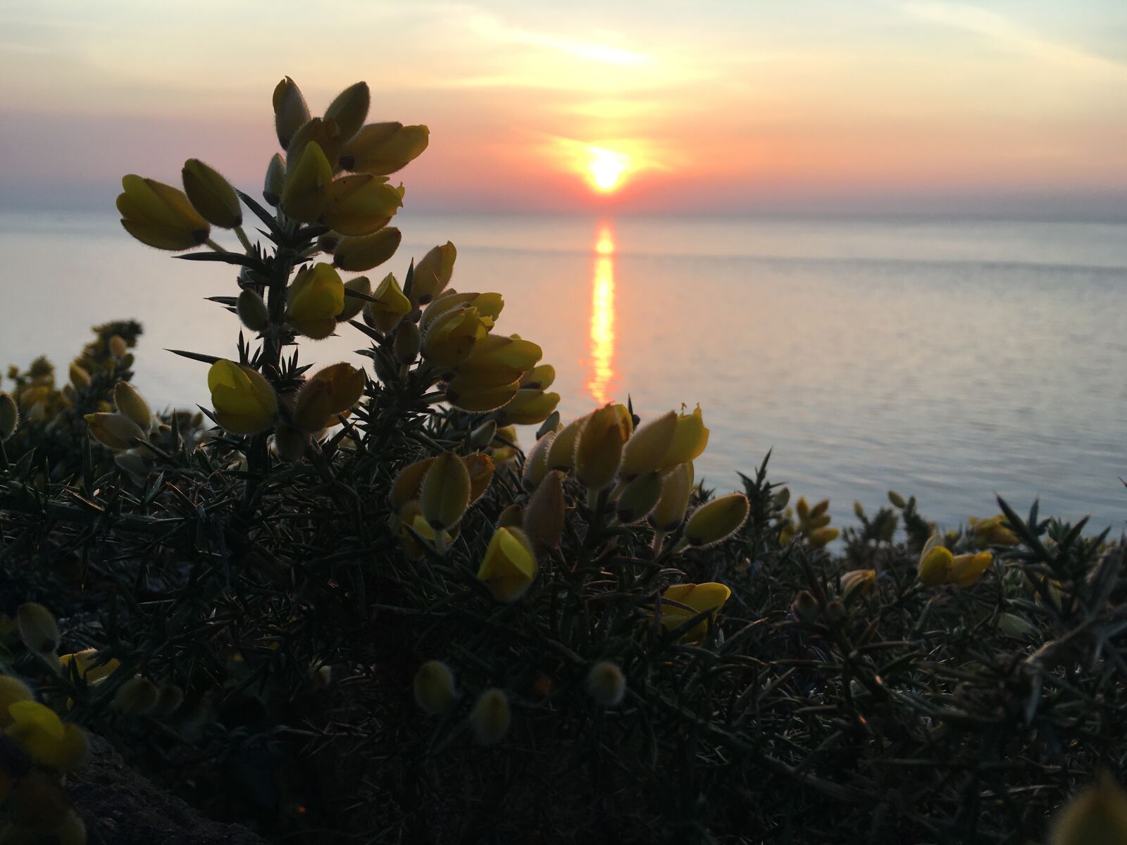 iPhone 6s Plus back camera 4.15mm f/2.2 sample photo. Penarth, seafront, sunrise photography