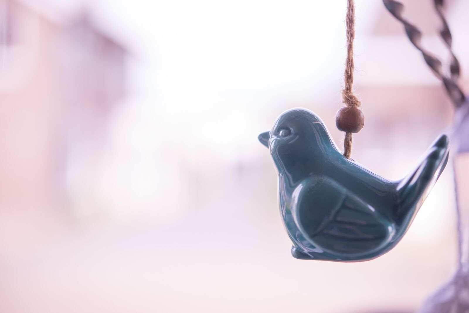 Nikon D600 sample photo. Bird, hanging, rope photography