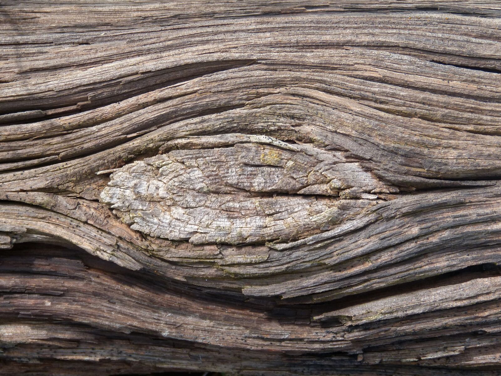 Panasonic DMC-FZ62 sample photo. Texture, wood, old photography