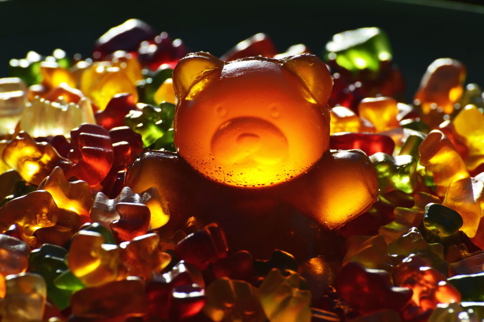 Nikon D3200 sample photo. Gummib rchen, giant rubber photography