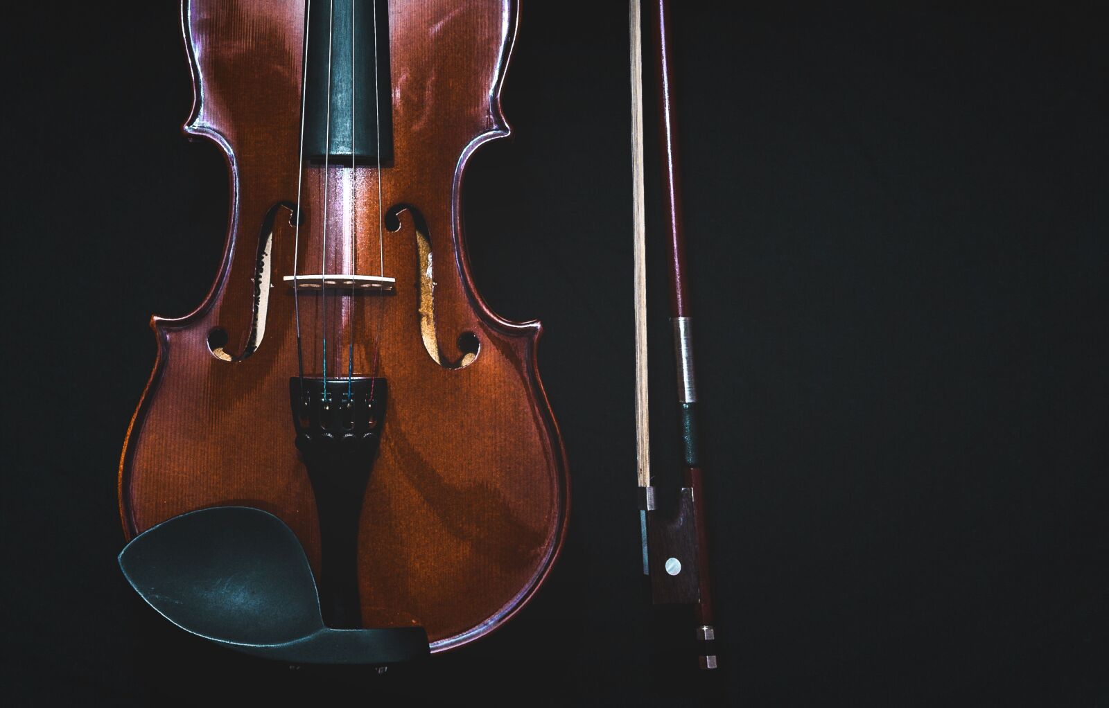 Canon EOS 650D (EOS Rebel T4i / EOS Kiss X6i) sample photo. Bowed instrument, violin, classical photography