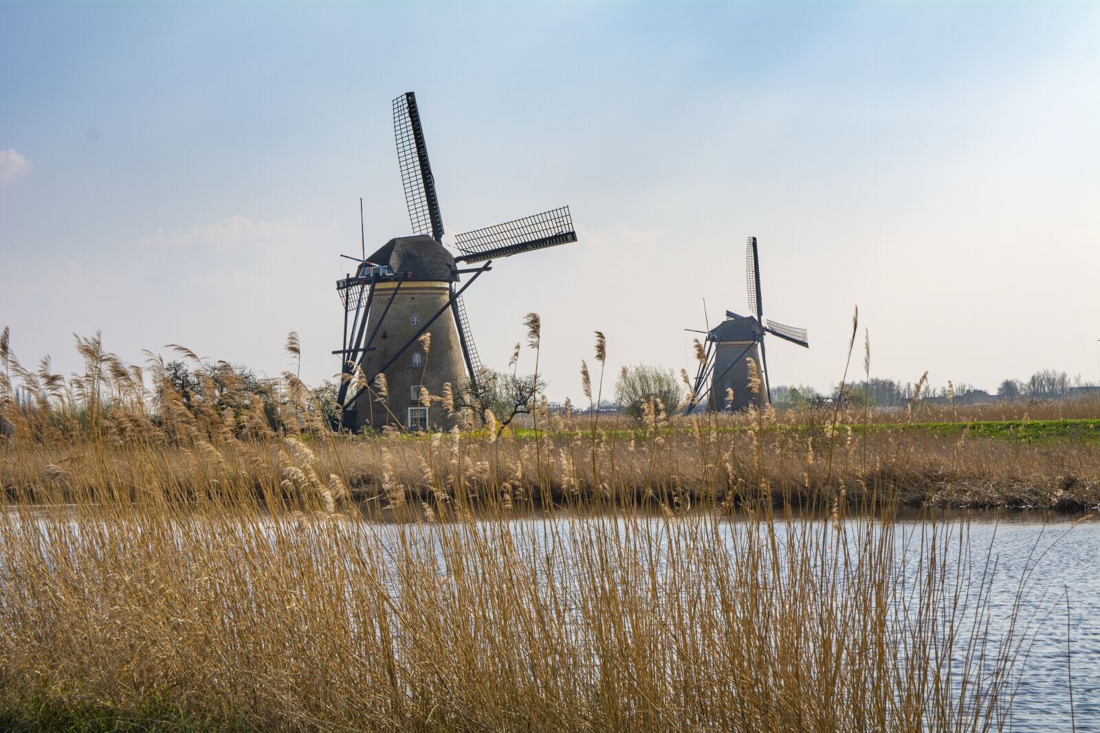 Nikon D5200 sample photo. Holland, mill, windmill photography