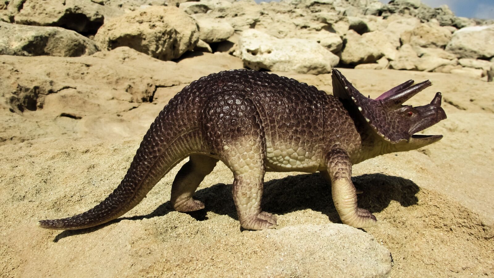 Canon PowerShot SX400 IS sample photo. Triceratops, dinosaur, reptile photography