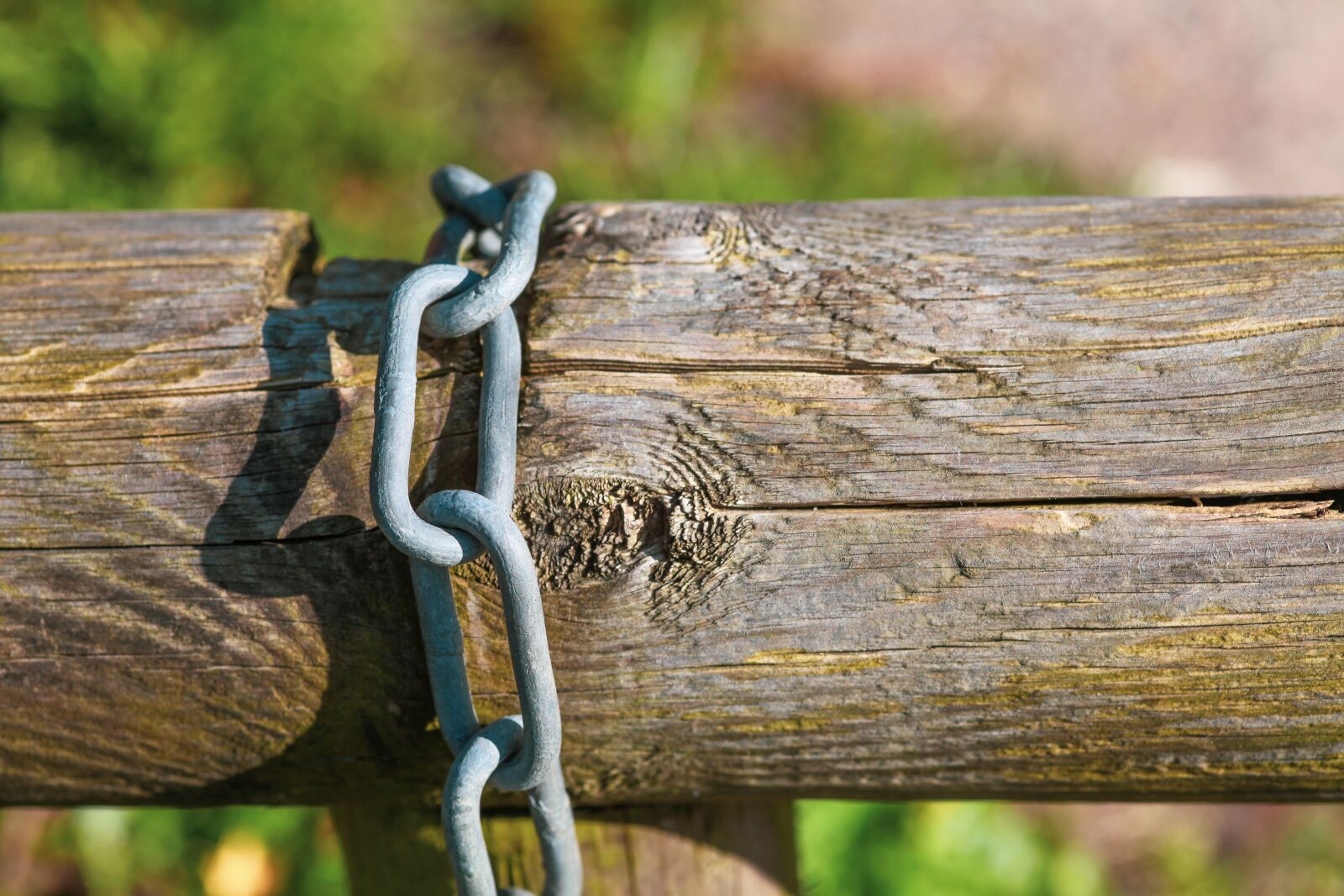 Canon EOS 5D Mark II sample photo. Log, chain, backed up photography