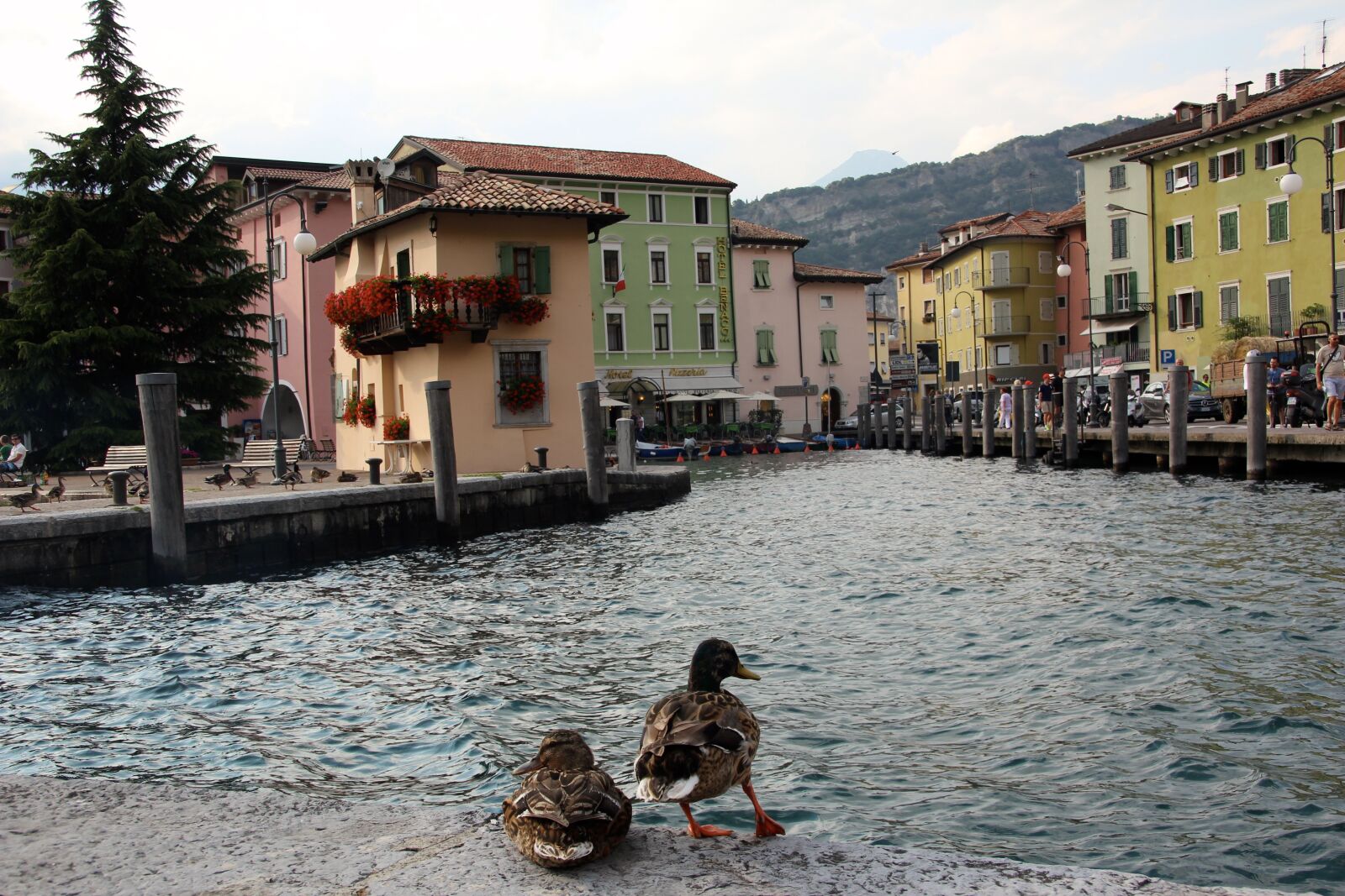 Canon EOS 600D (Rebel EOS T3i / EOS Kiss X5) sample photo. Italy, garda, torbole photography