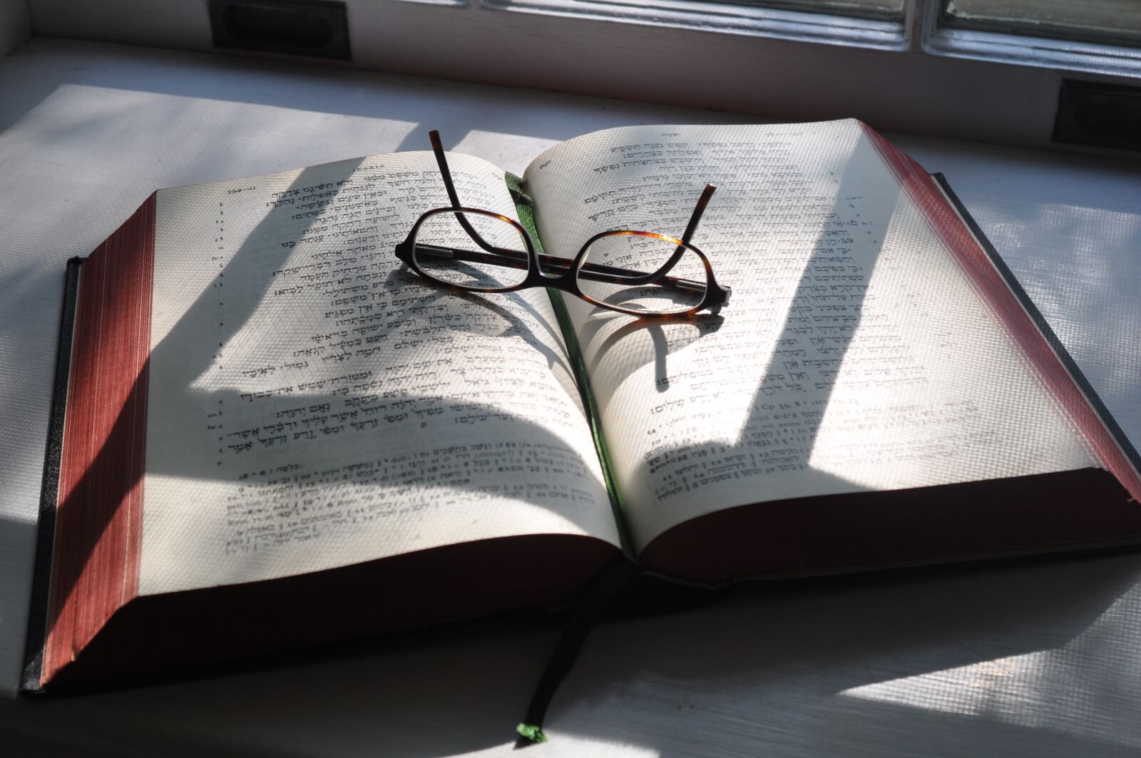 Nikon D90 sample photo. Hebrew, glasses, bible photography