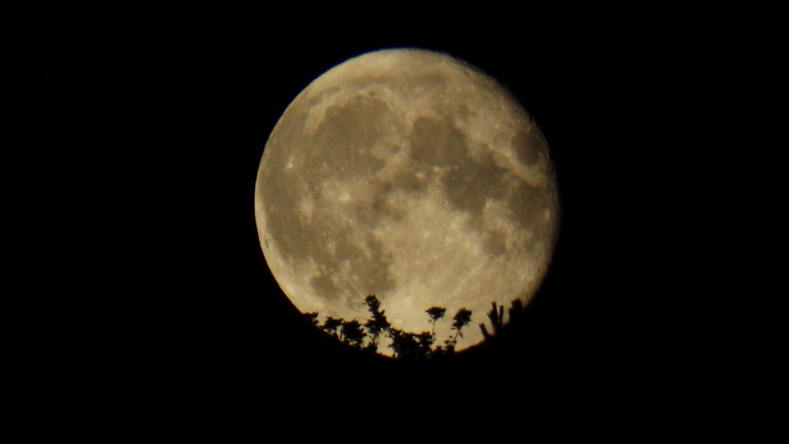 Fujifilm FinePix S4700 sample photo. Moon, sky, silhouette photography
