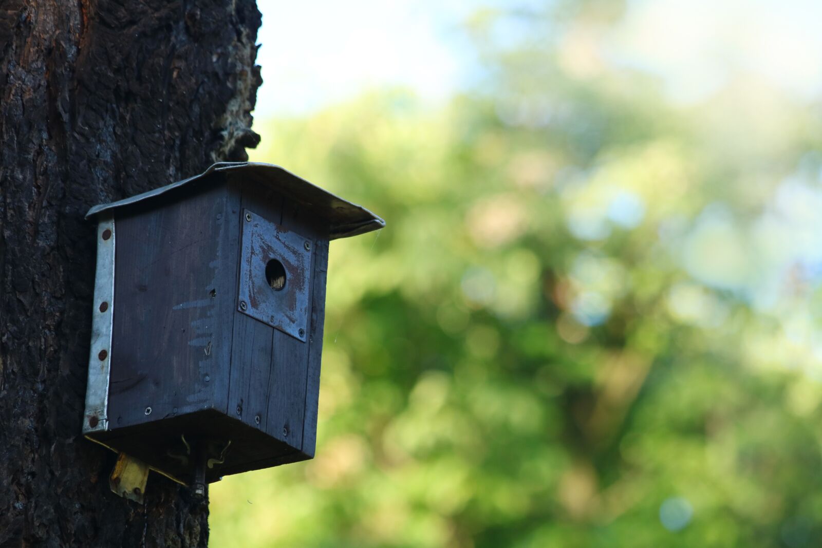 Canon EOS 750D (EOS Rebel T6i / EOS Kiss X8i) + Canon EF 70-300mm F4-5.6 IS USM sample photo. Birdhouse, the feeder, shed photography