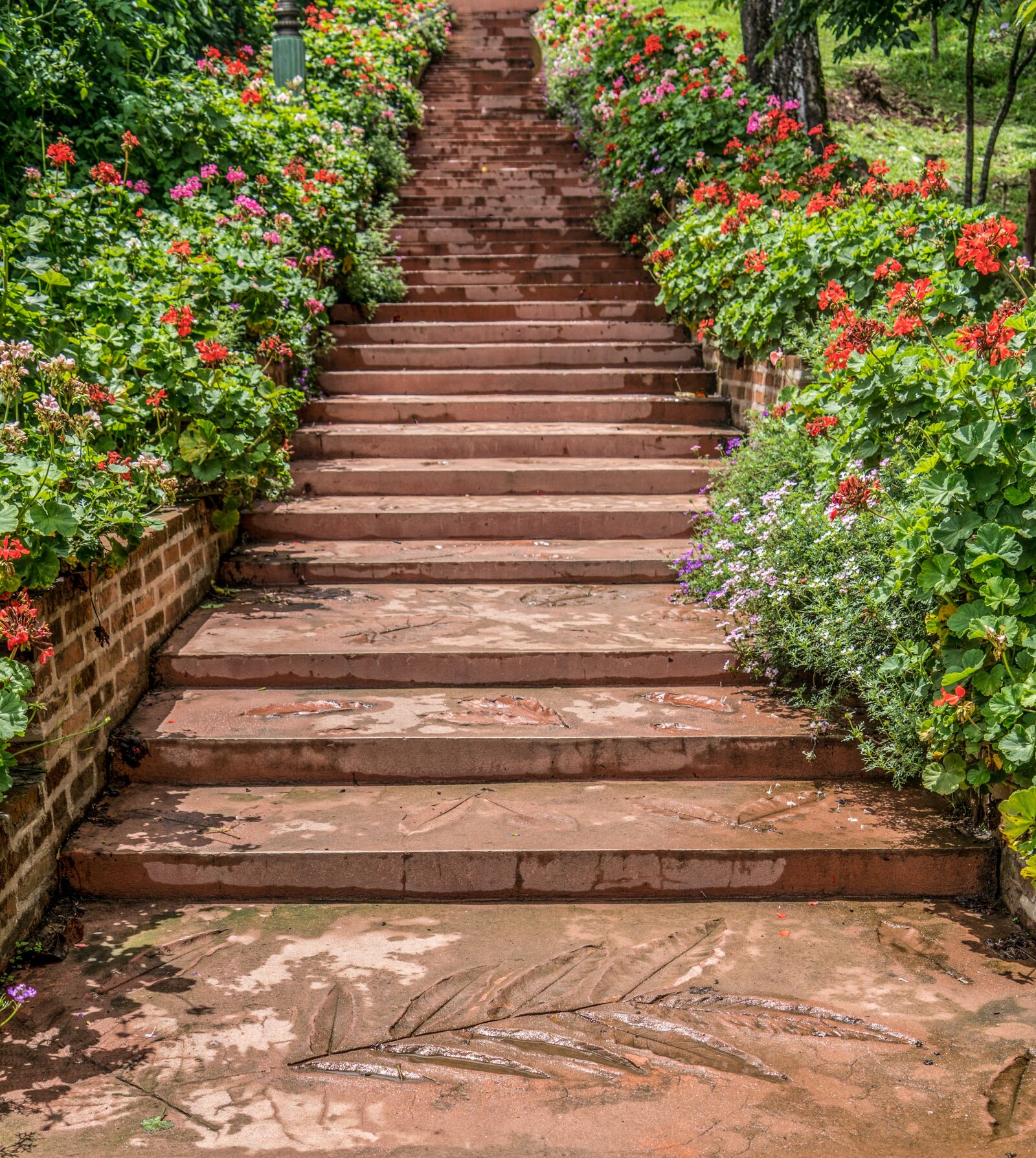 Sony a7R II + Sony FE 24-240mm F3.5-6.3 OSS sample photo. Steps, garden, chiang mai photography