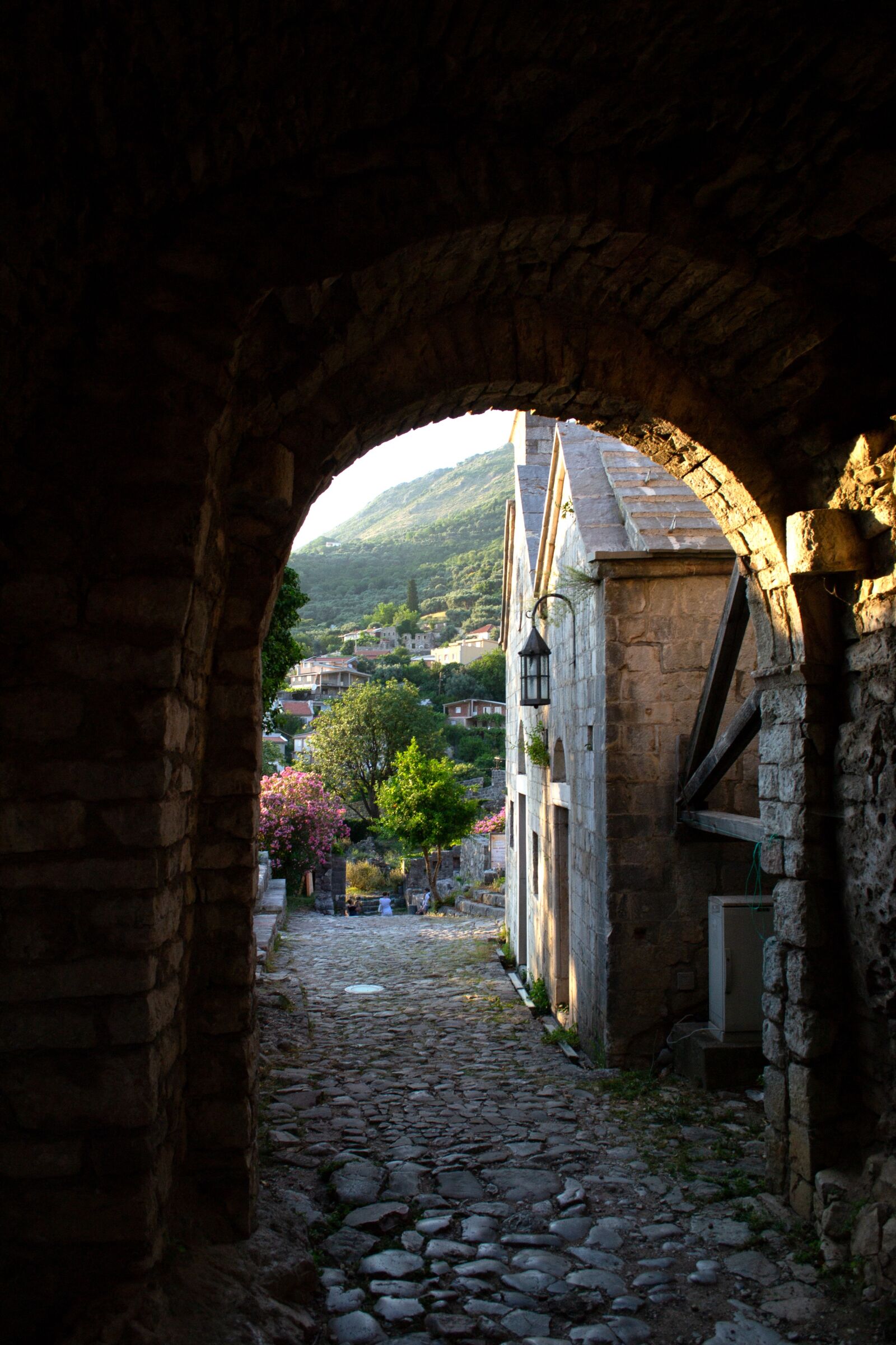 Nikon D3100 sample photo. Montenegro, bar, mountains photography